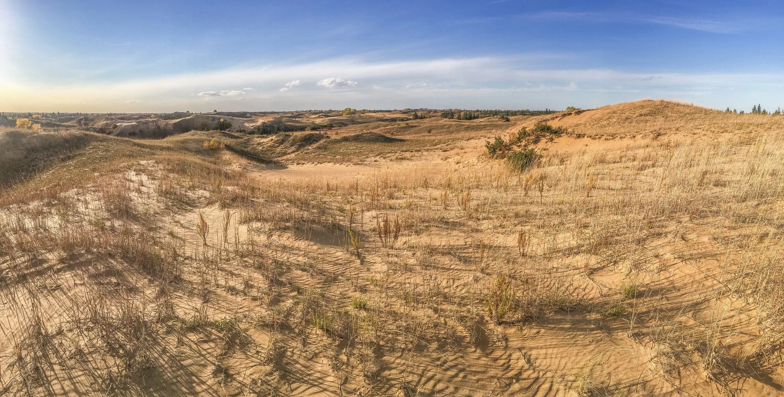 Endless waves of dunes in the Canadian sand hills.