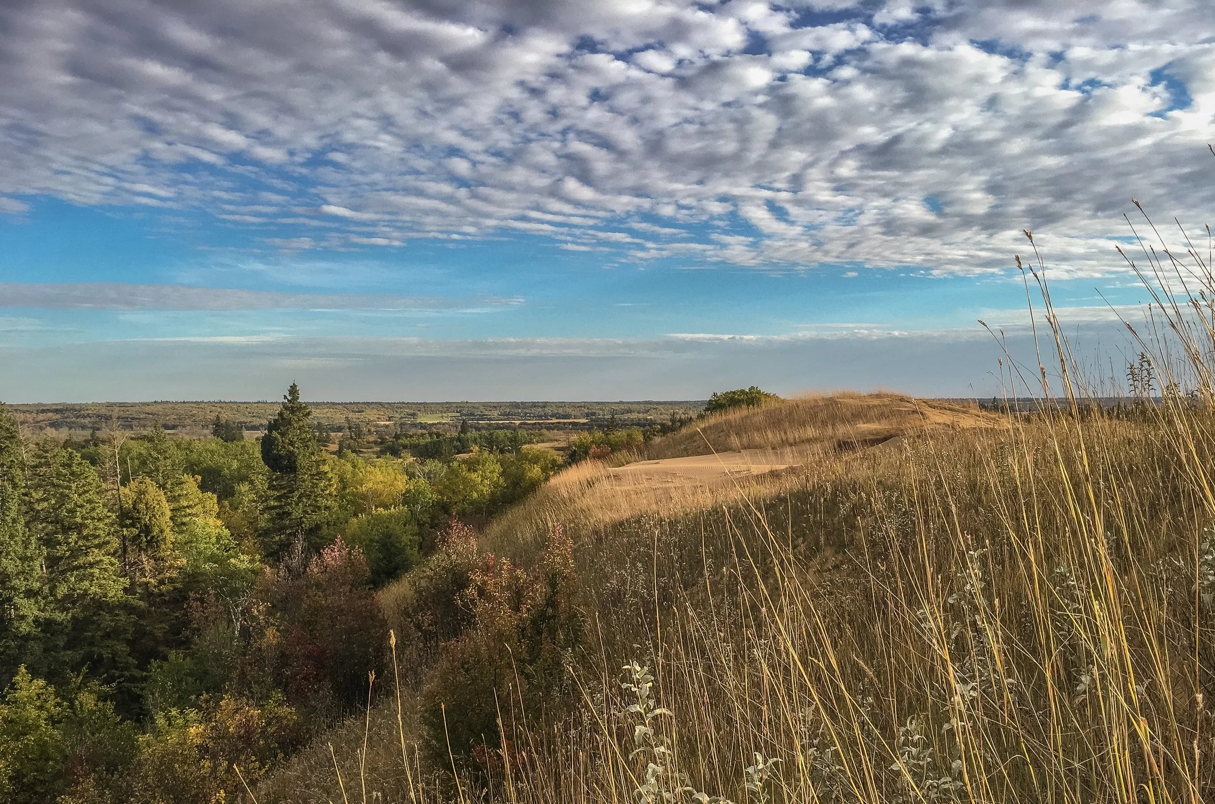Check out this natural par 3 hole elevated above the canopy below.