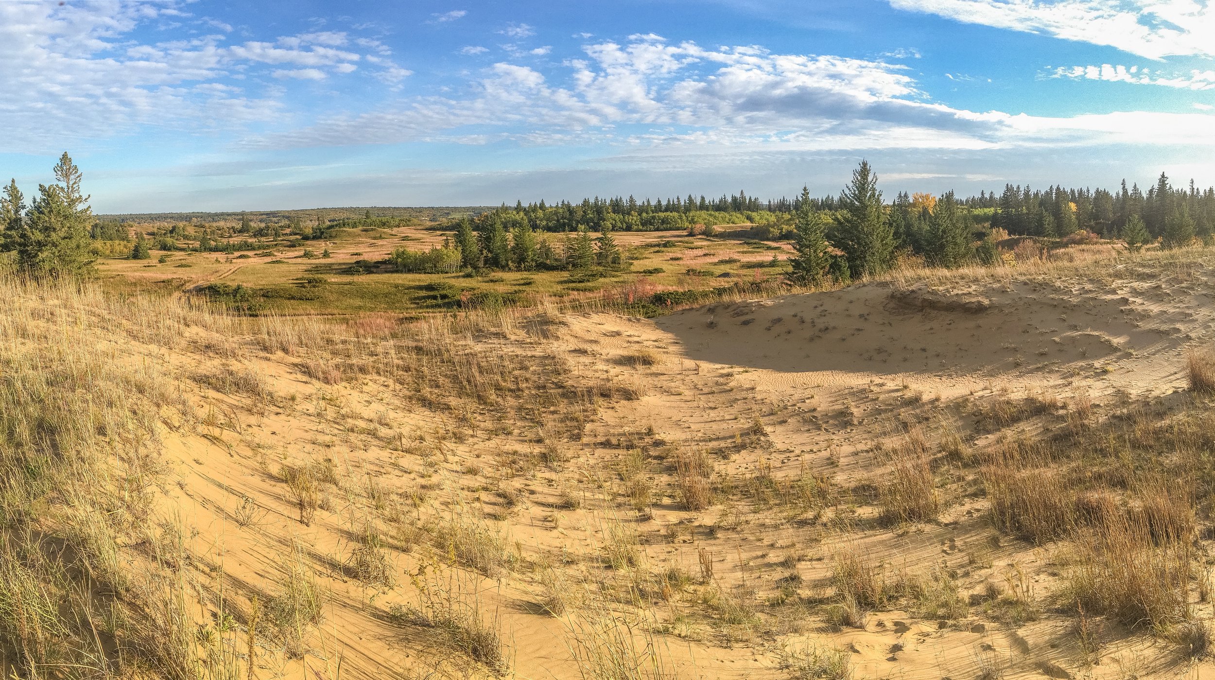Rich in vegetation and interesting topography, these dunes are full of natural variety.
