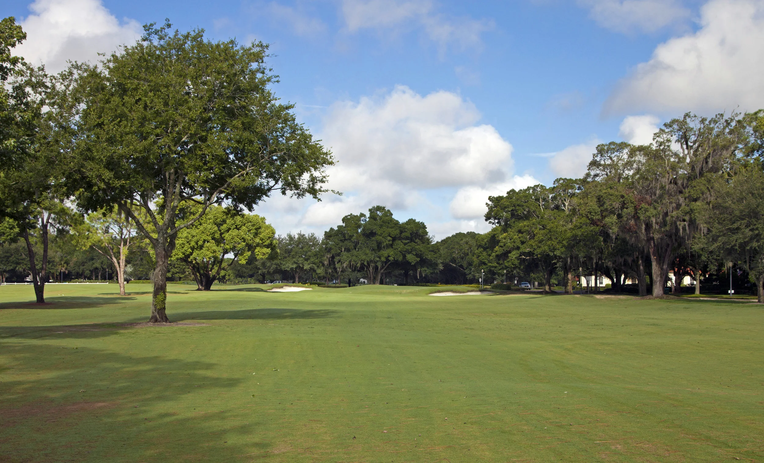 Hole No.1 during grow-in.