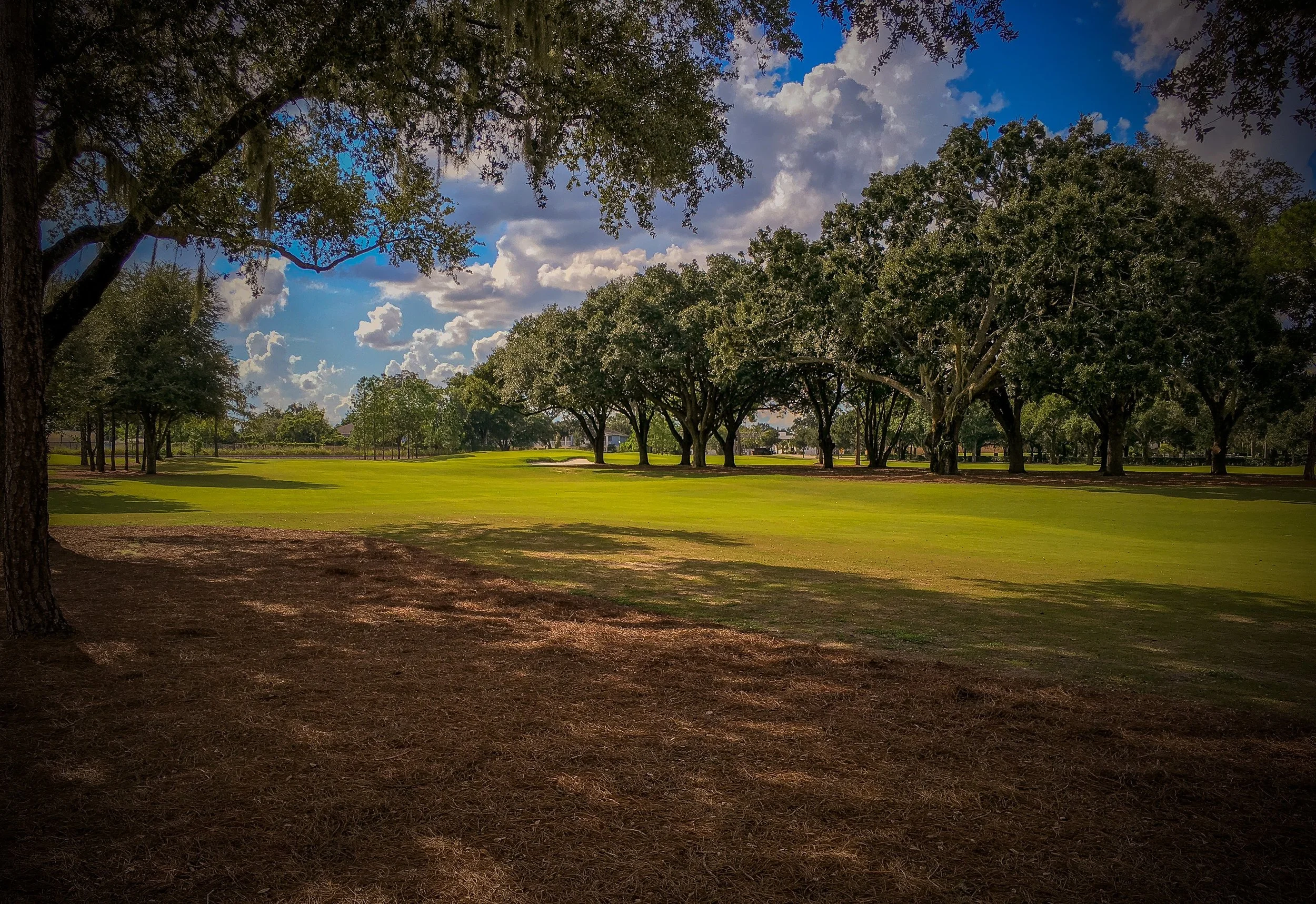 The view of the 6th hole tucked behind the infamous Sherwood Forest.