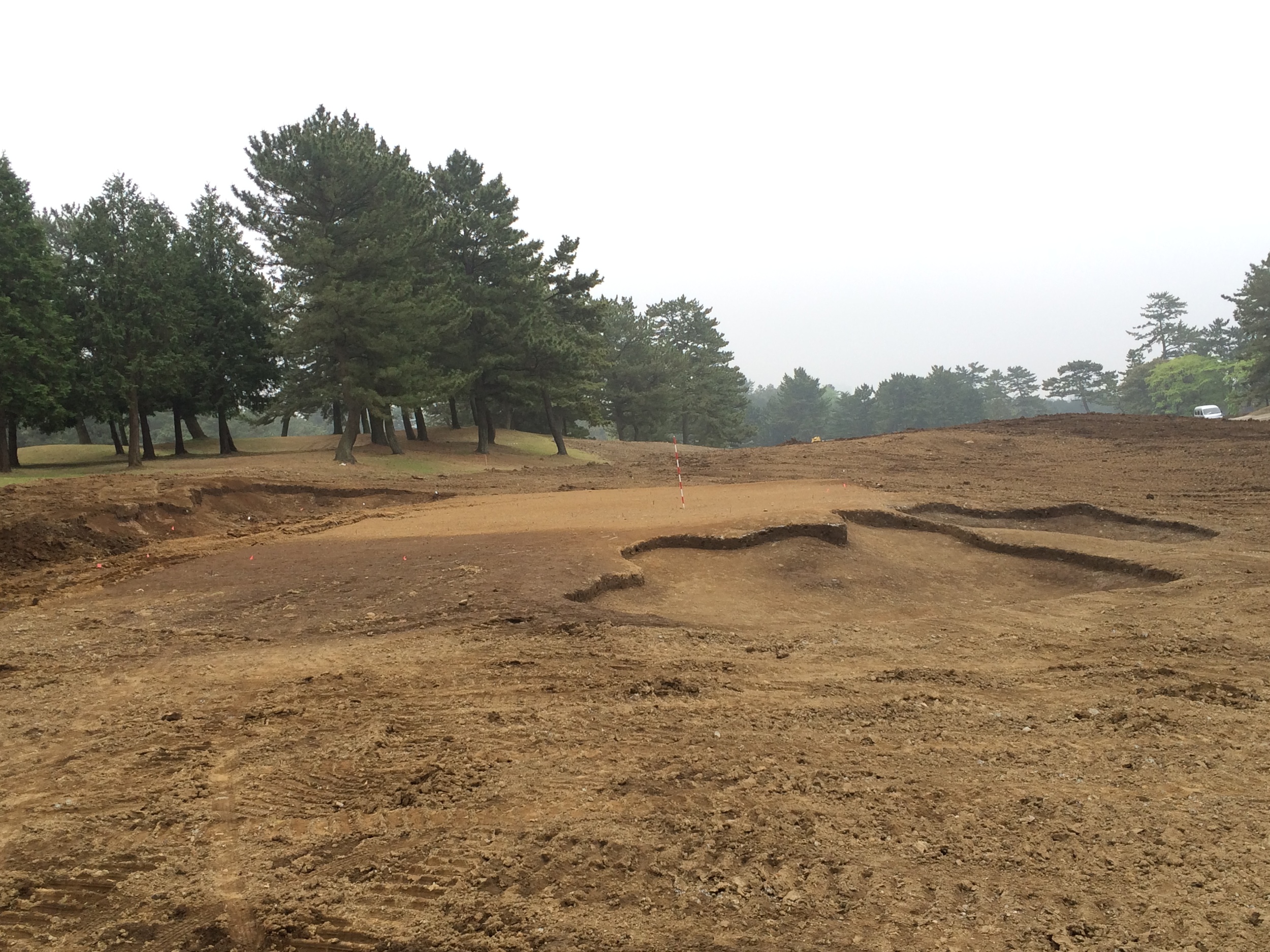 New #8 Green