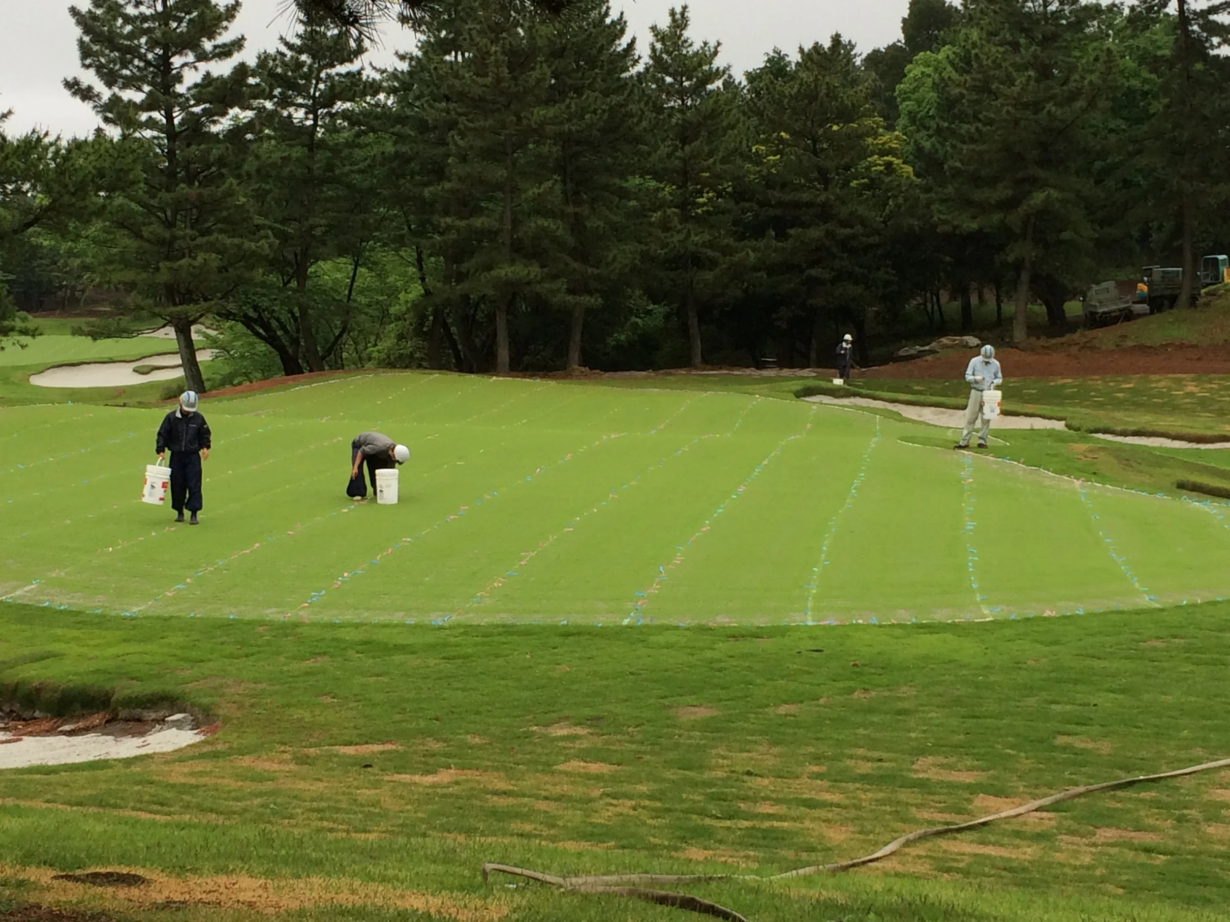 New #9 Green