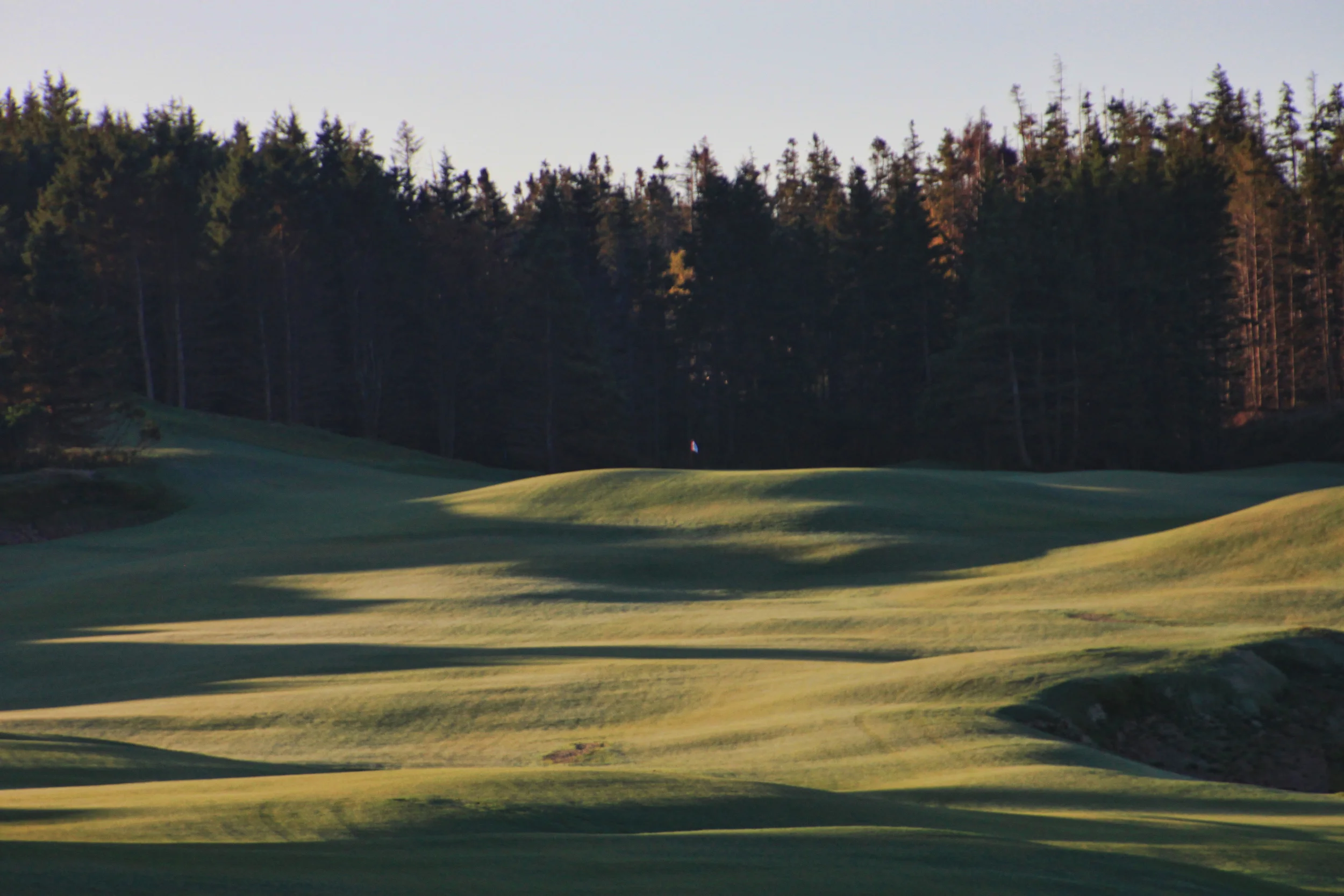 The 13th green, one of the few treed holes on the property...a semi-blind punchbowl.