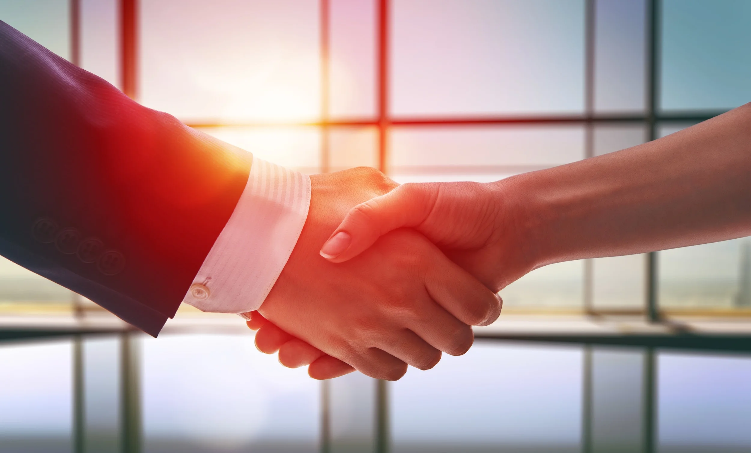 Forza Handshake.jpg