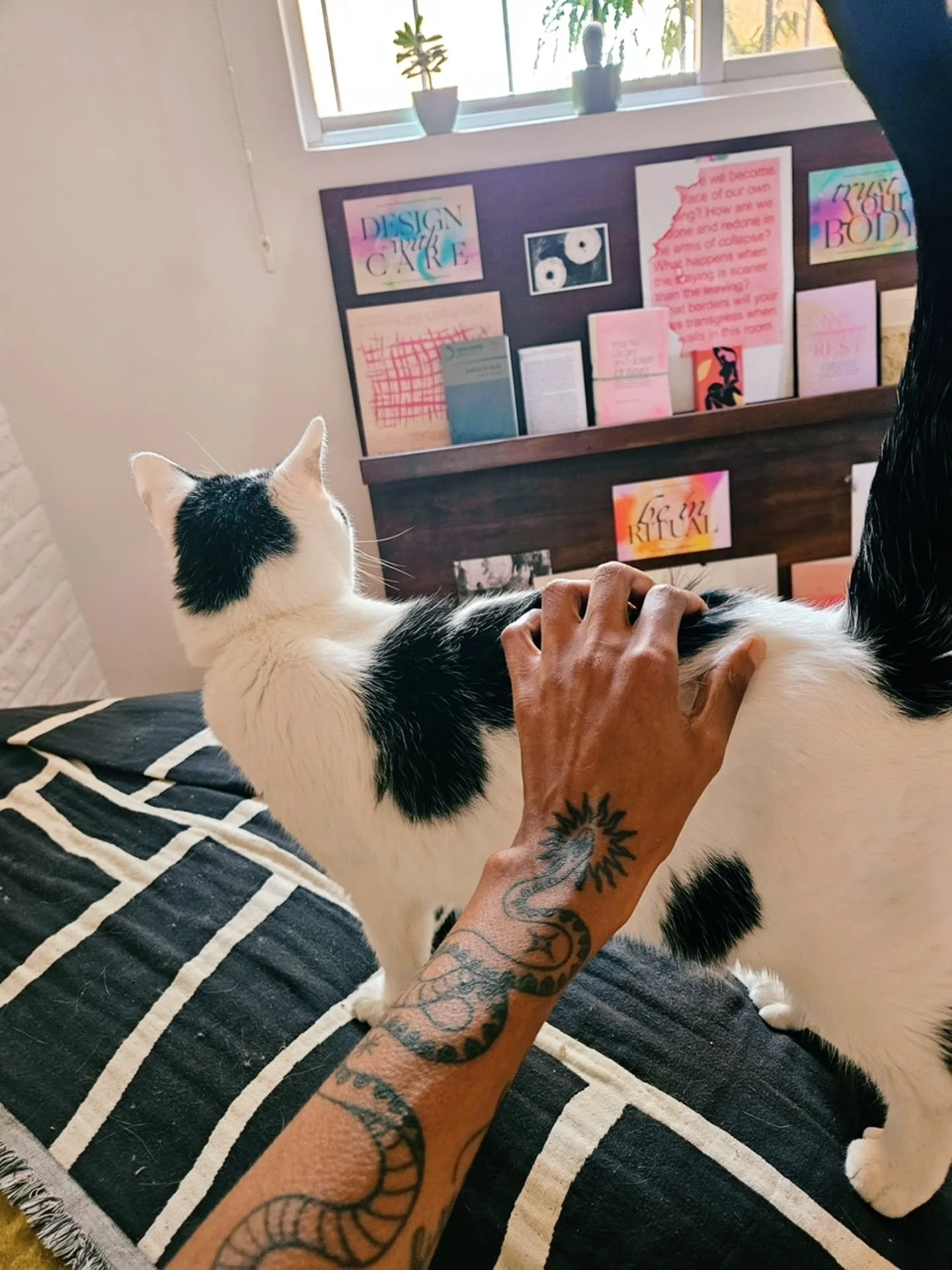Picking up where we left off a year ago. Turns out, we were meant to do this wild thing called life together.&nbsp;✨️🥹

Nora has returned home, with me, after unexpected (re)directions and lots of care and connections that helped make her migration 