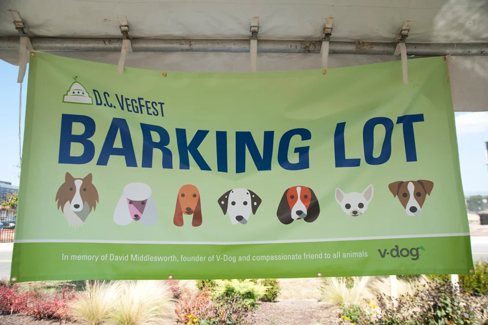 DC_Vegfest_BarkingLot.jpg