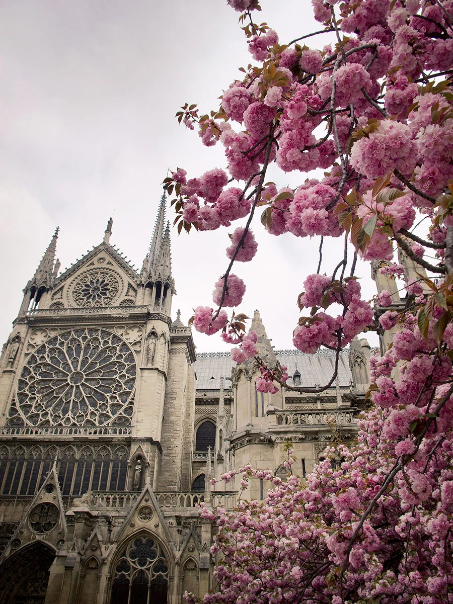 Notre Dame Cathedral in Paris, France