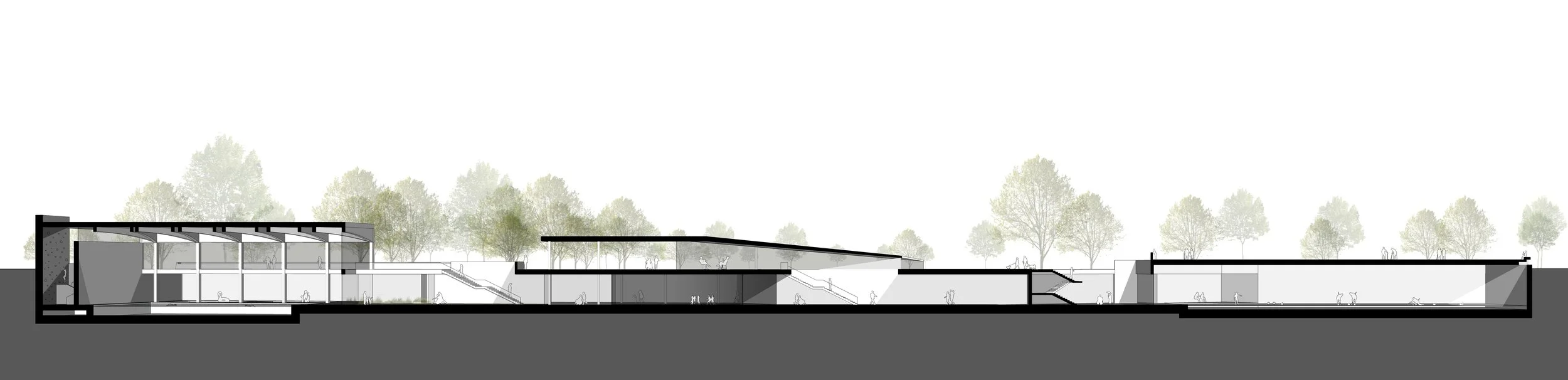 Section_Perspective_a3.jpg