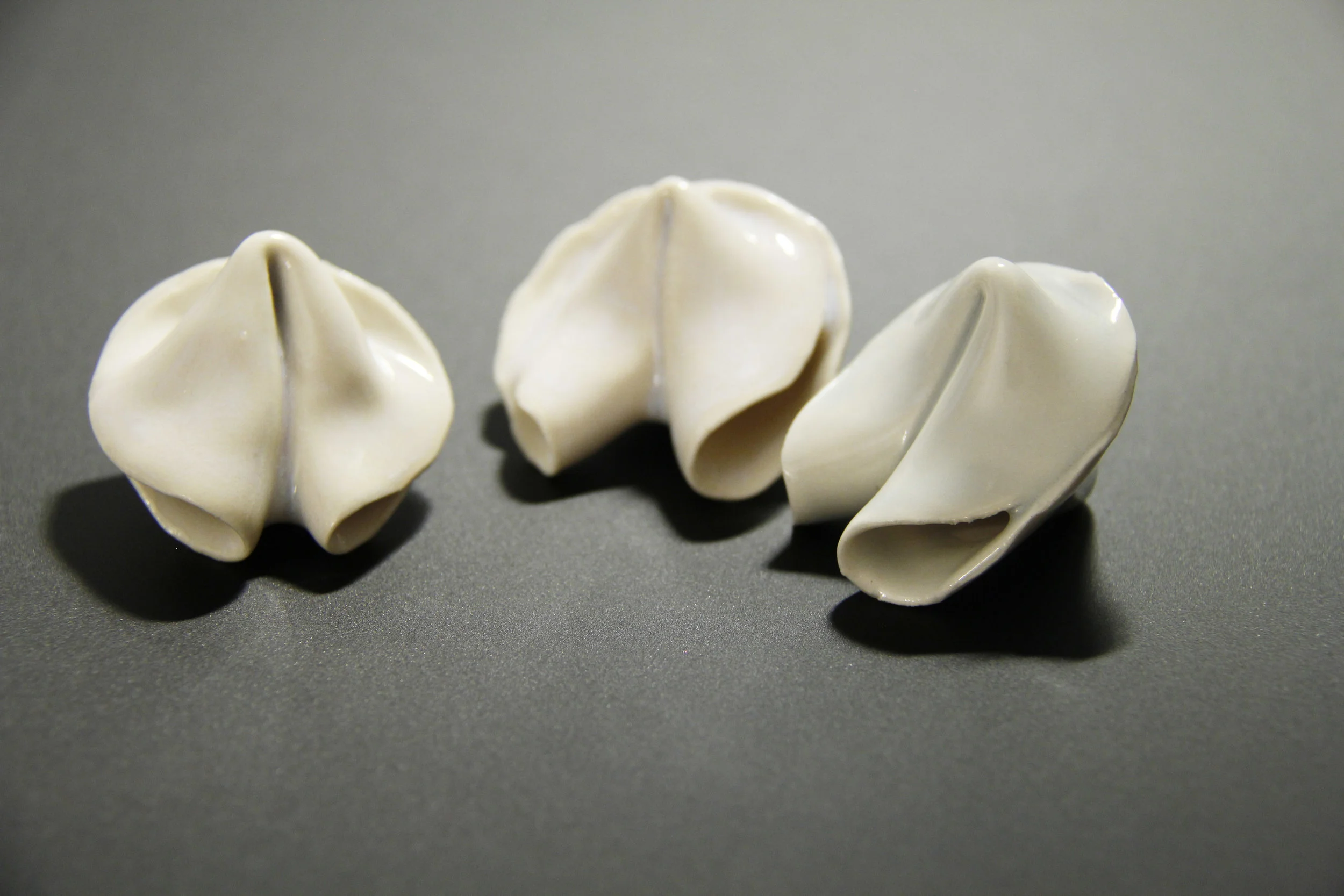 Fortune Cookies(White)