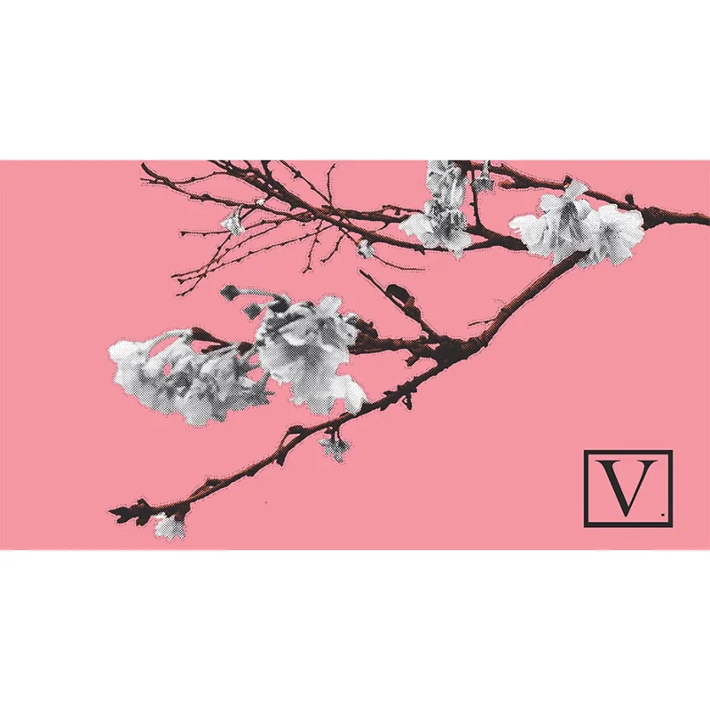 Quin cover.jpg