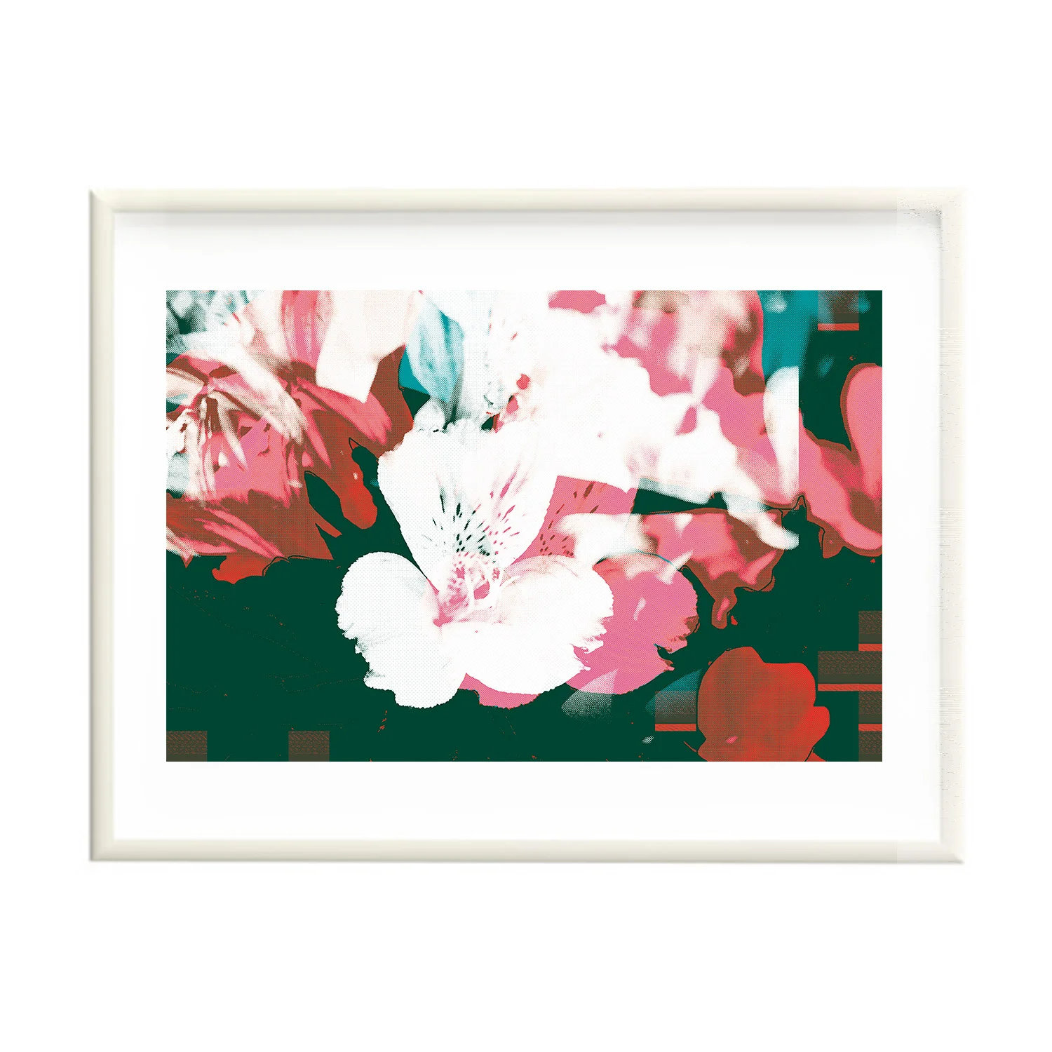 Quin iris print 1 .jpg