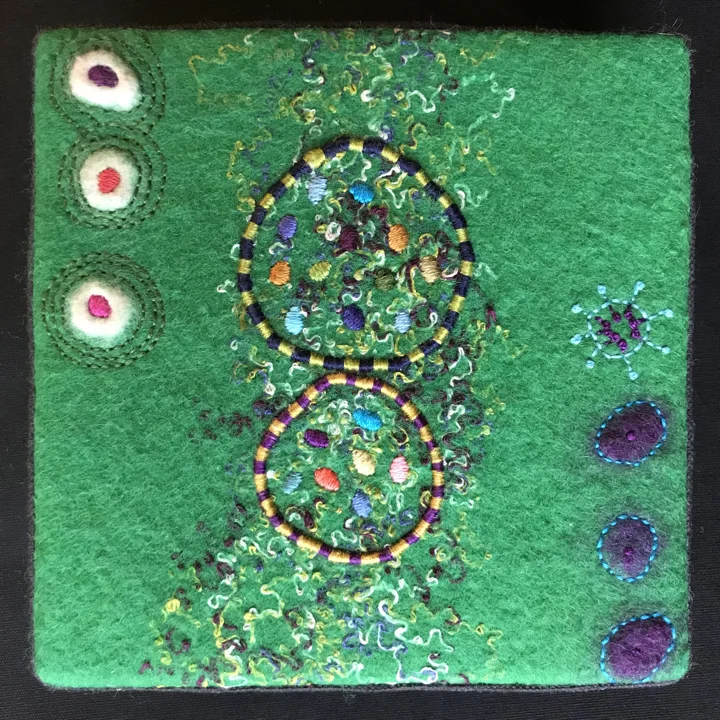 Untitled Green Box, by Teresa Shields.