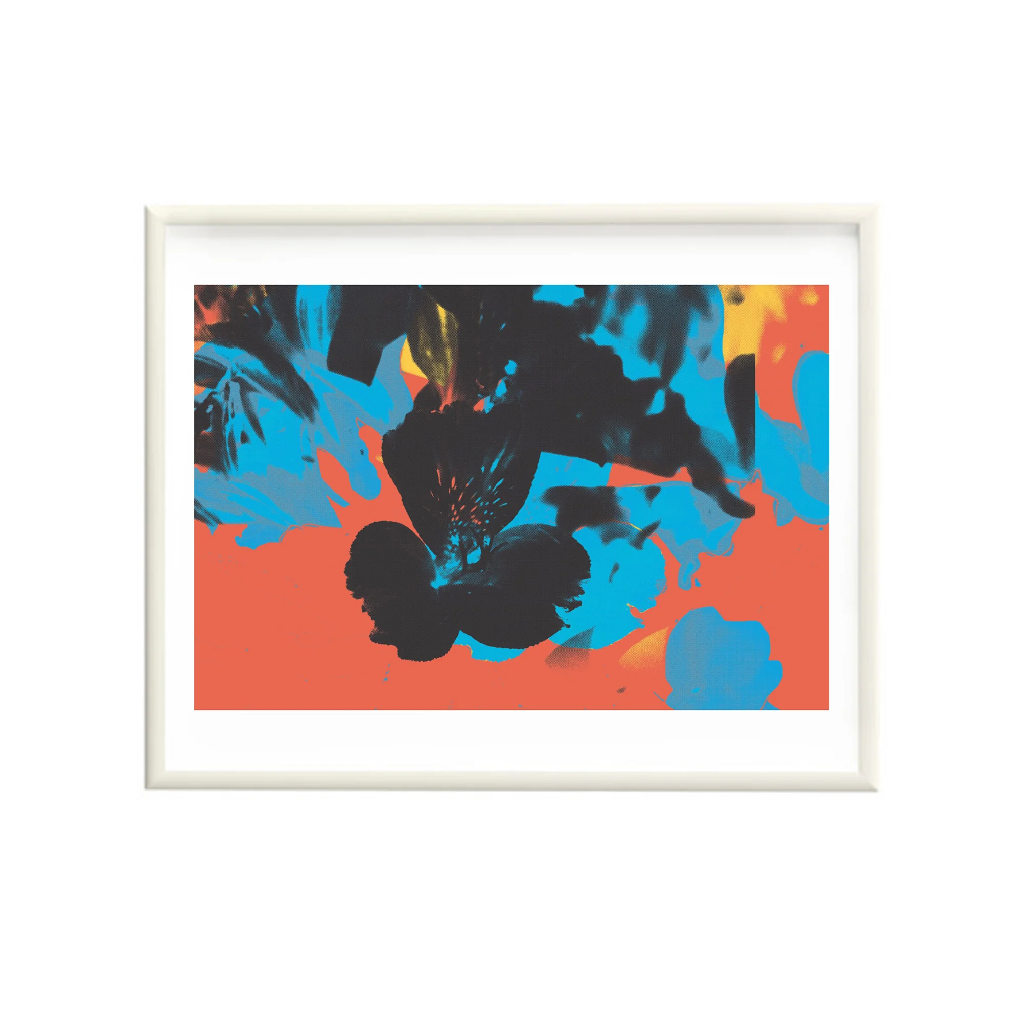 Alstroemeria Super Man (Framed)