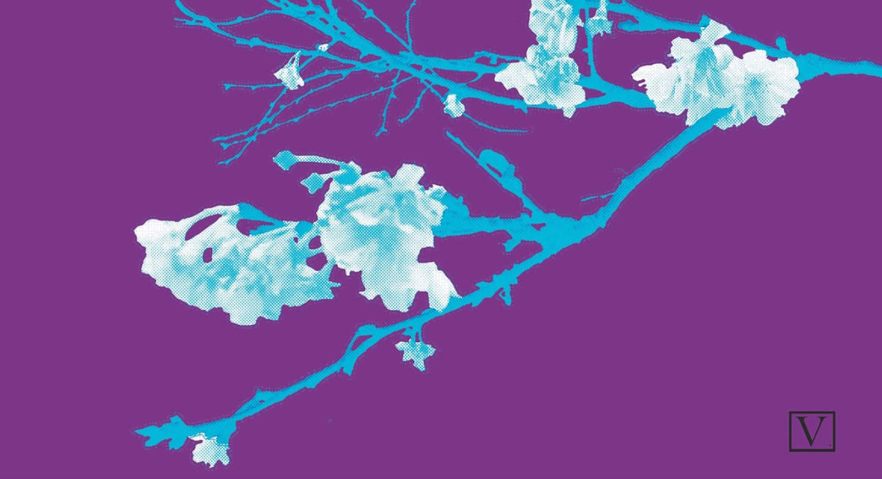 Cherry Blossom Purple &amp; Blue, 15 edition + 2 Artist Proof,&nbsp;inkjet print on archival paper 290g/sm, &nbsp;20" X 37", 2018 
