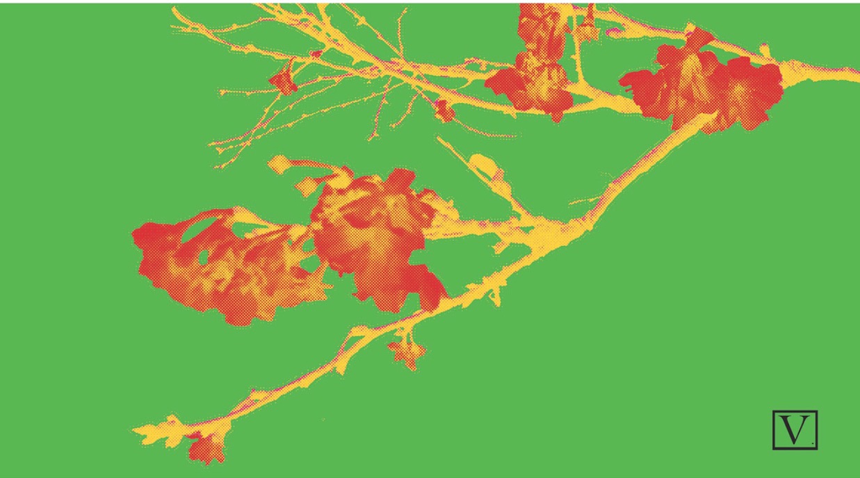 Cherry Blossom Green &amp; Orange, 15 edition + 2 Artist Proof,&nbsp;inkjet print on archival paper 290g/sm, &nbsp;20" X 37", 2018 
