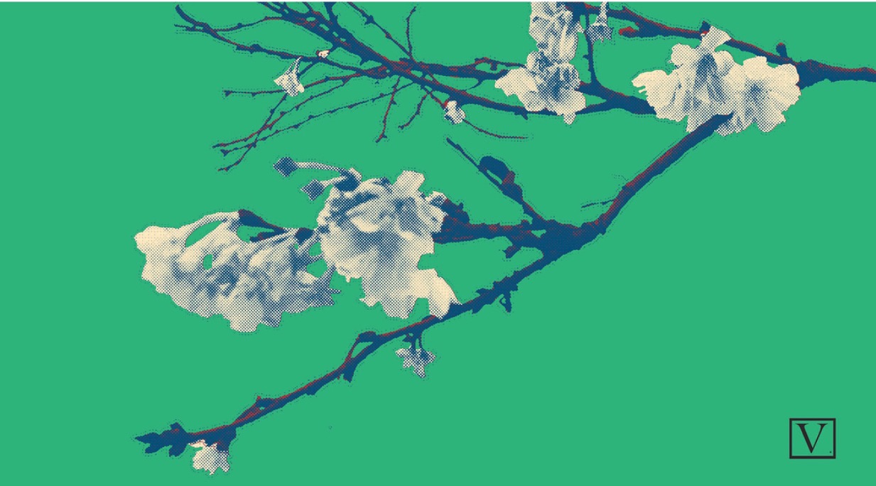  Cherry Blossom Green &amp; White, 15 edition + 2 Artist Proof,&nbsp;inkjet print on archival paper 290g/sm, &nbsp;20" X 37", 2018 