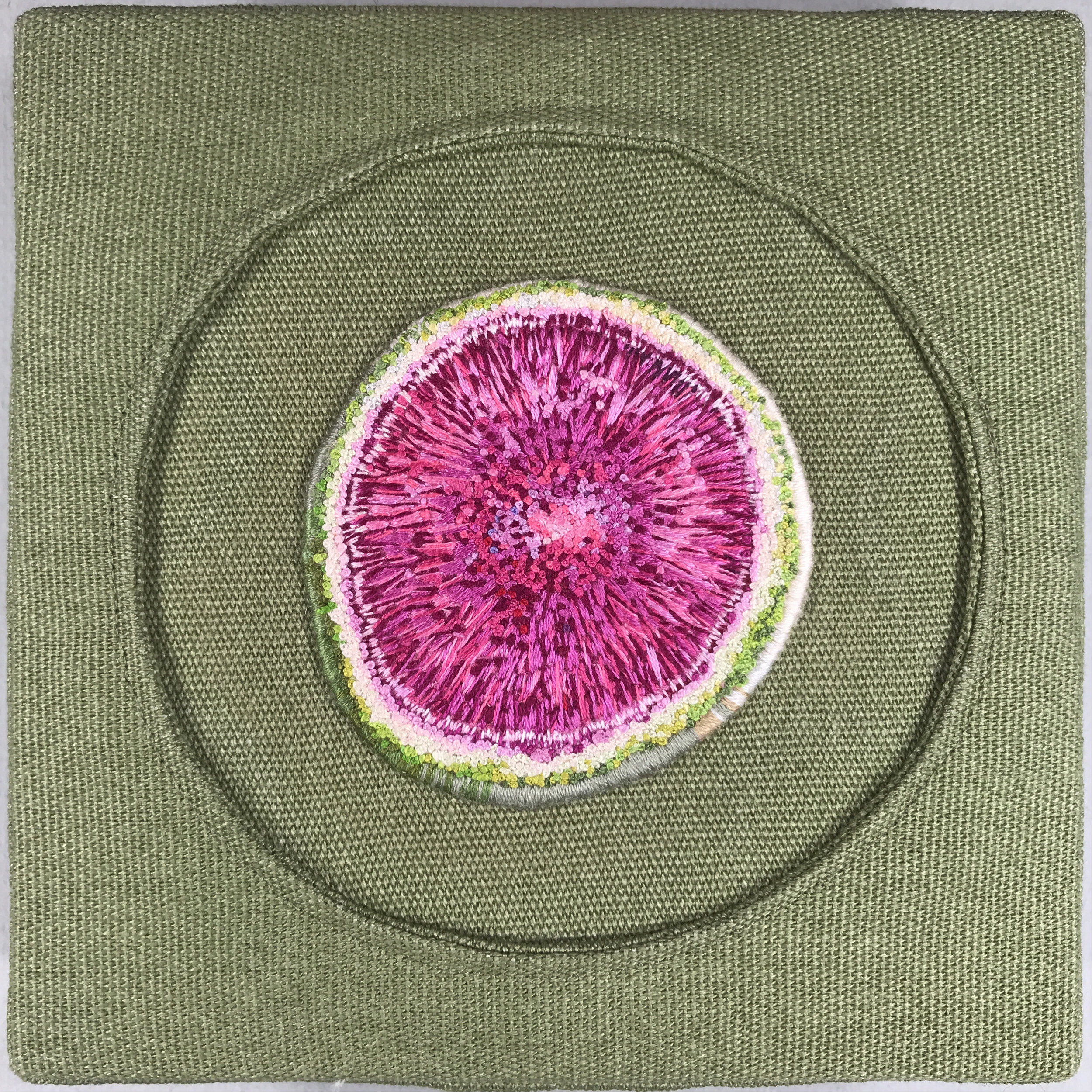  Teresa Shields  Watermelon Radish #1  French Knots on Canvas  6” x 6” x 1.5”  2018 