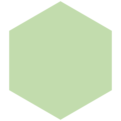 Hexagon_digital_permits_blank.png