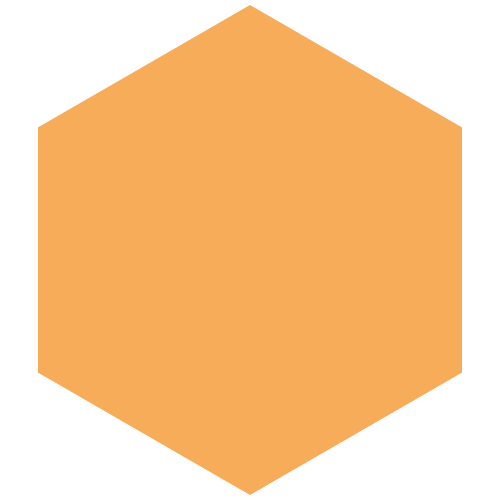 Hexagon_digital_permits_blank.png