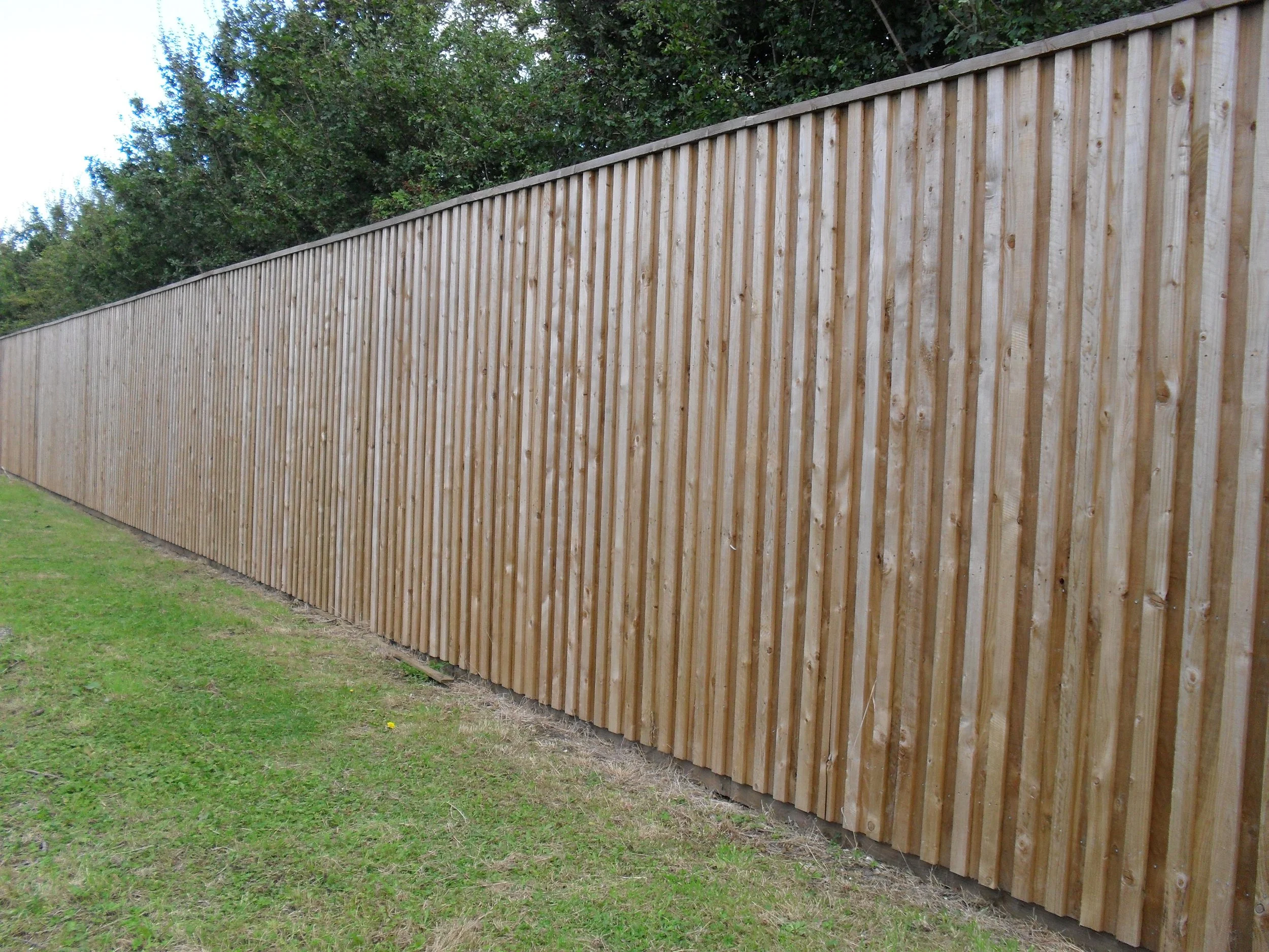 Studley FC - Acoustic 3.JPG