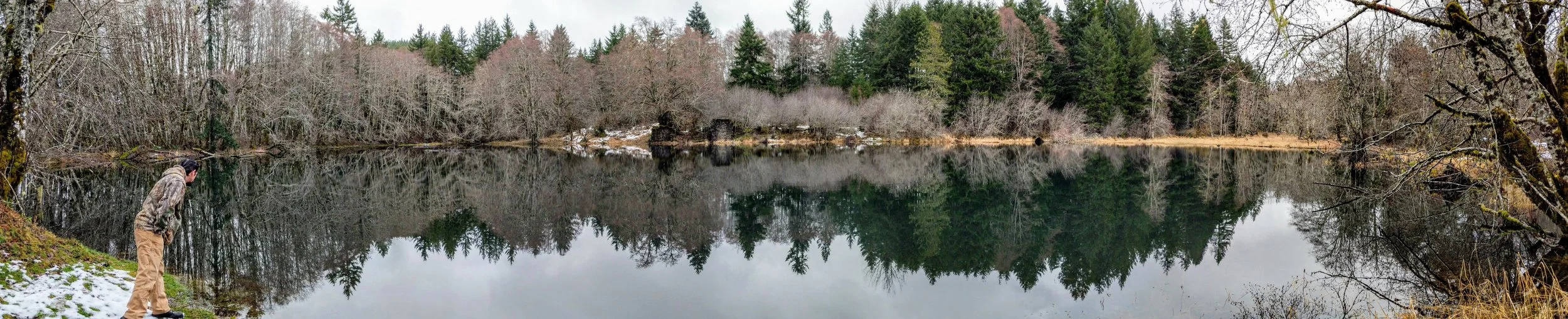 A 2018 mid winter view of the cochran pond west of Timber, oregon