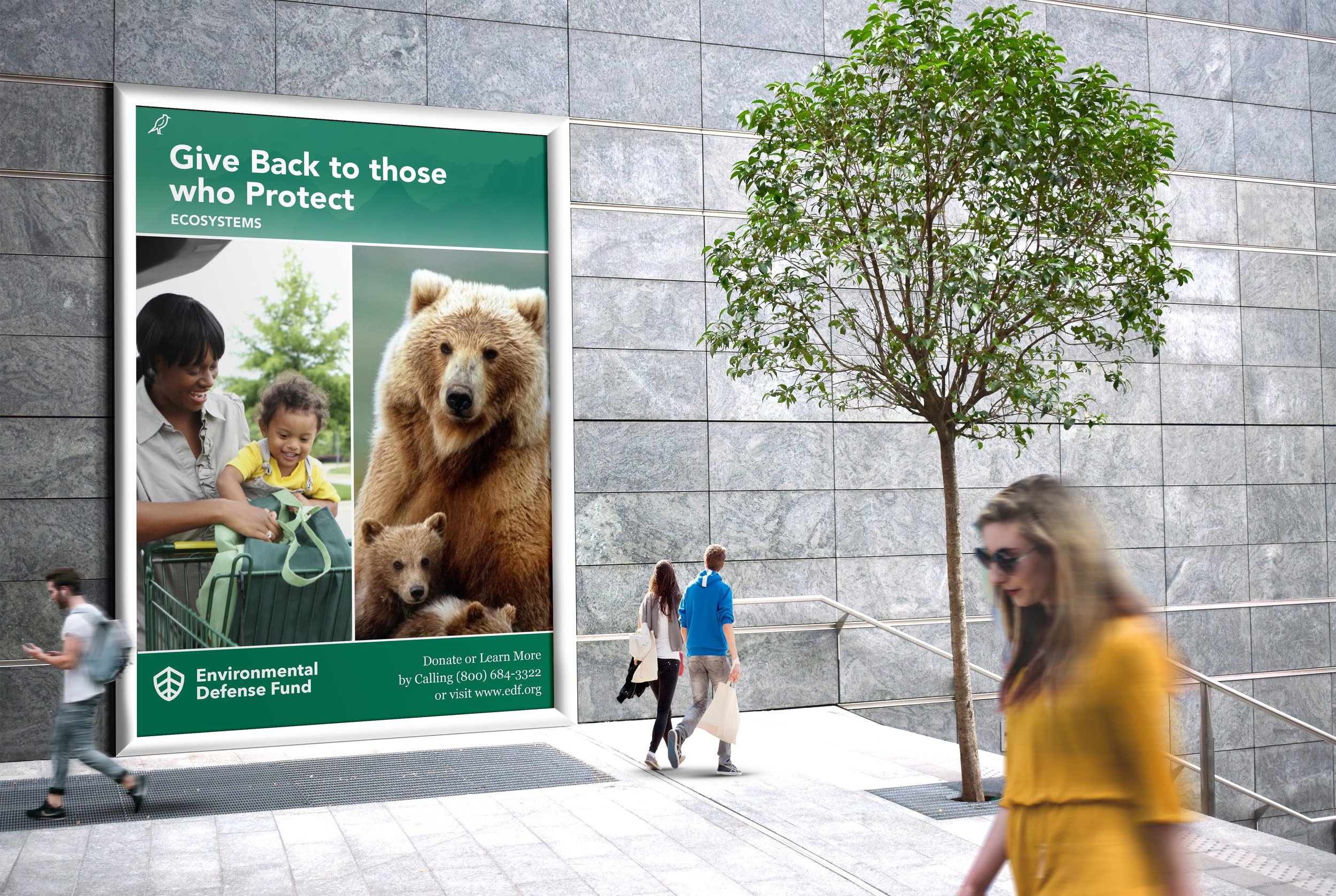 EcosystemsPoster copy.jpg