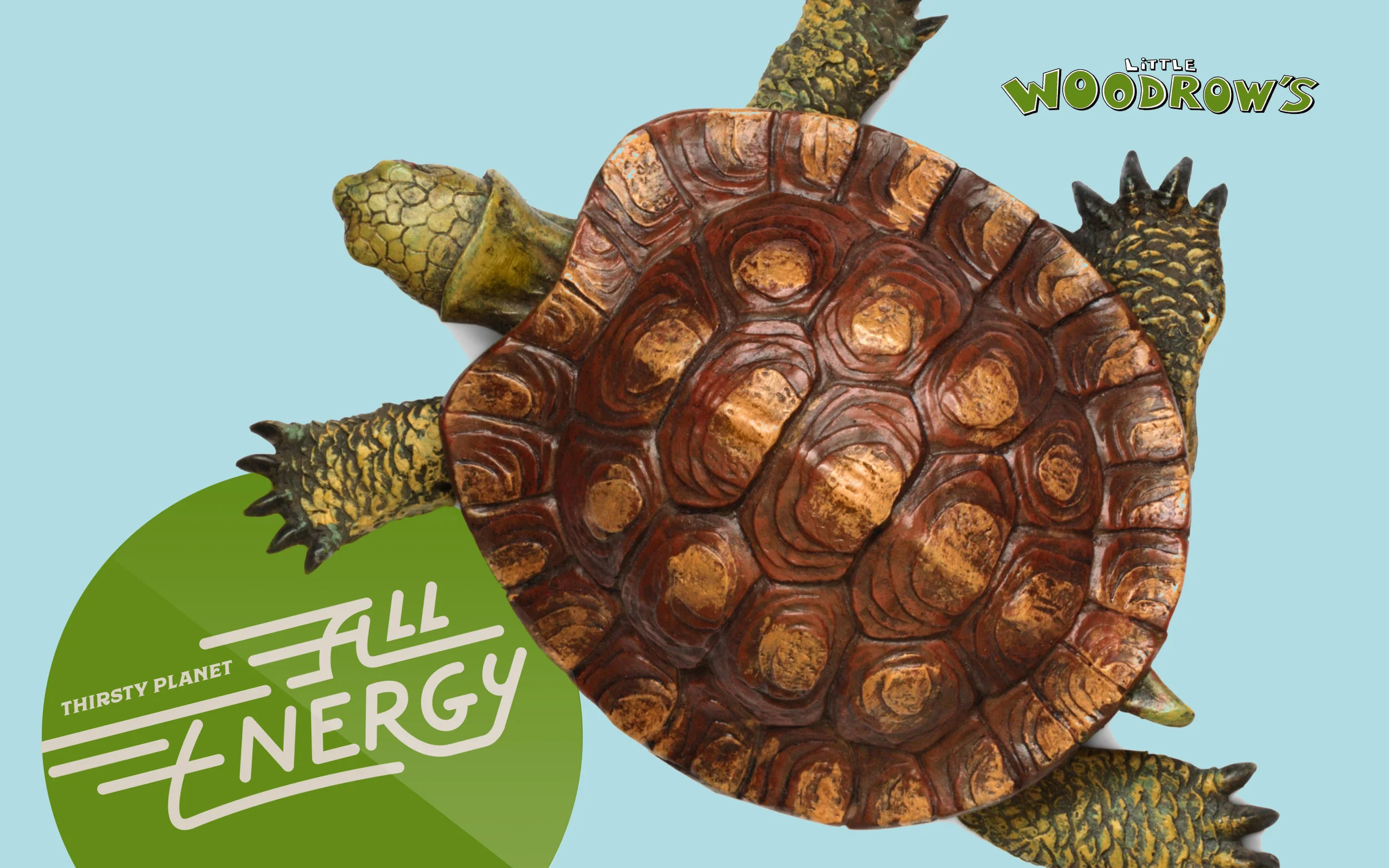 TP_Turtle_Mockup.jpg