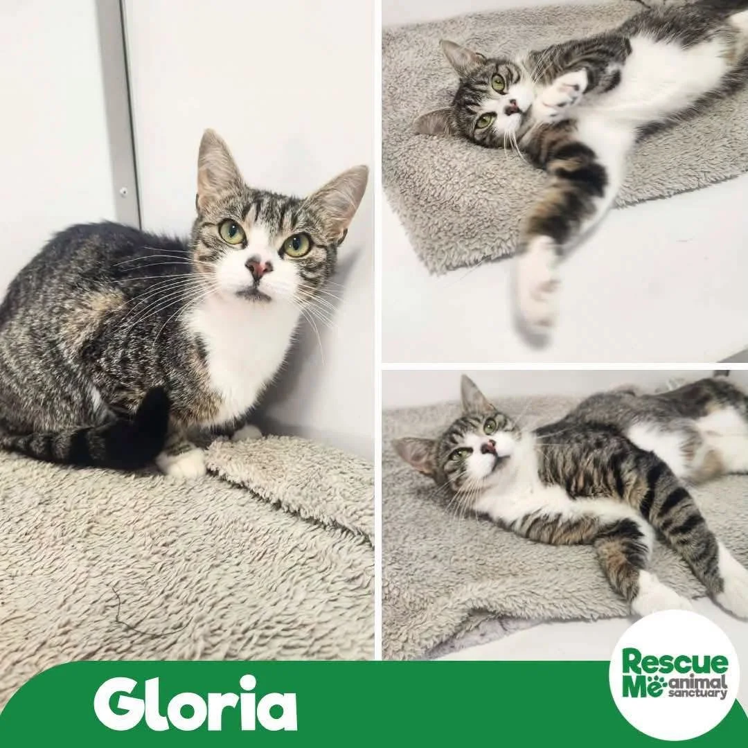 gloria.jpeg