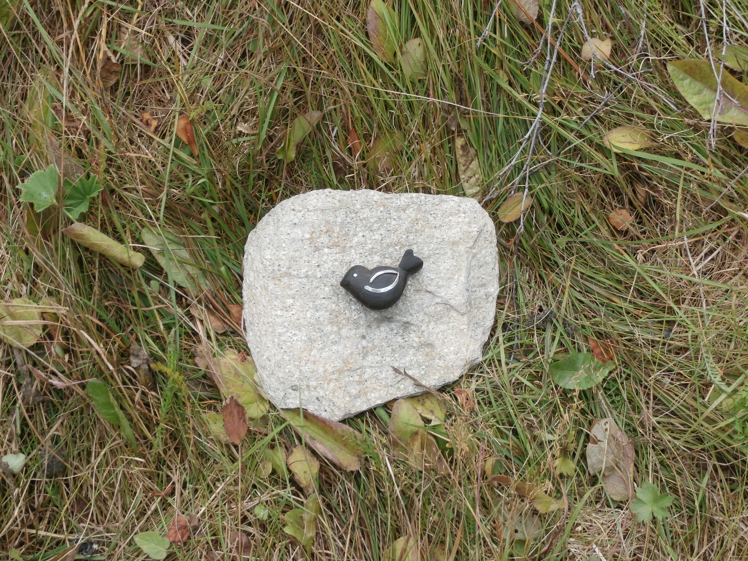 Ibenholtfugl med sølvvinger og sølvøjne 2018  