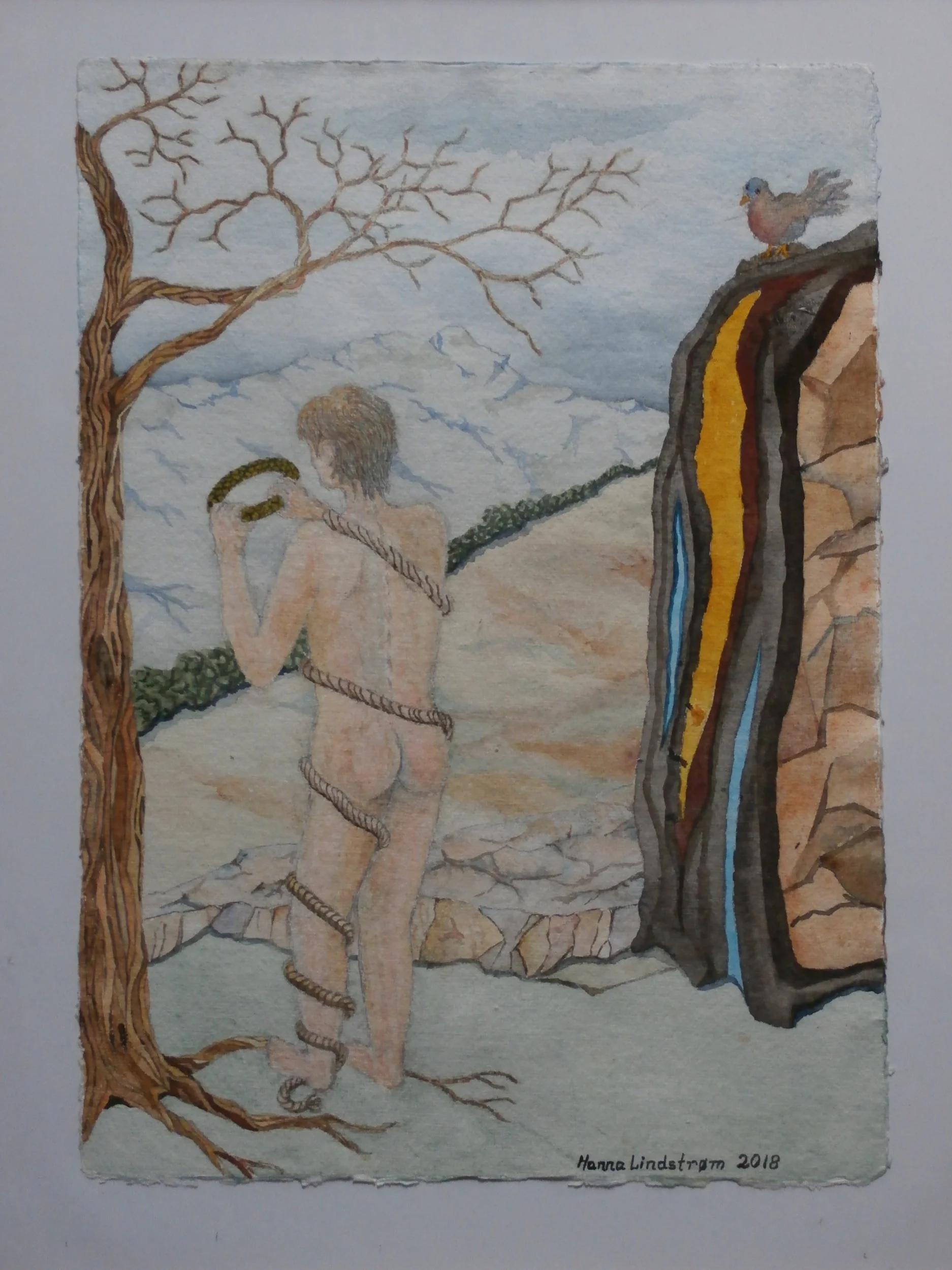 Ung mand i klippelandskab