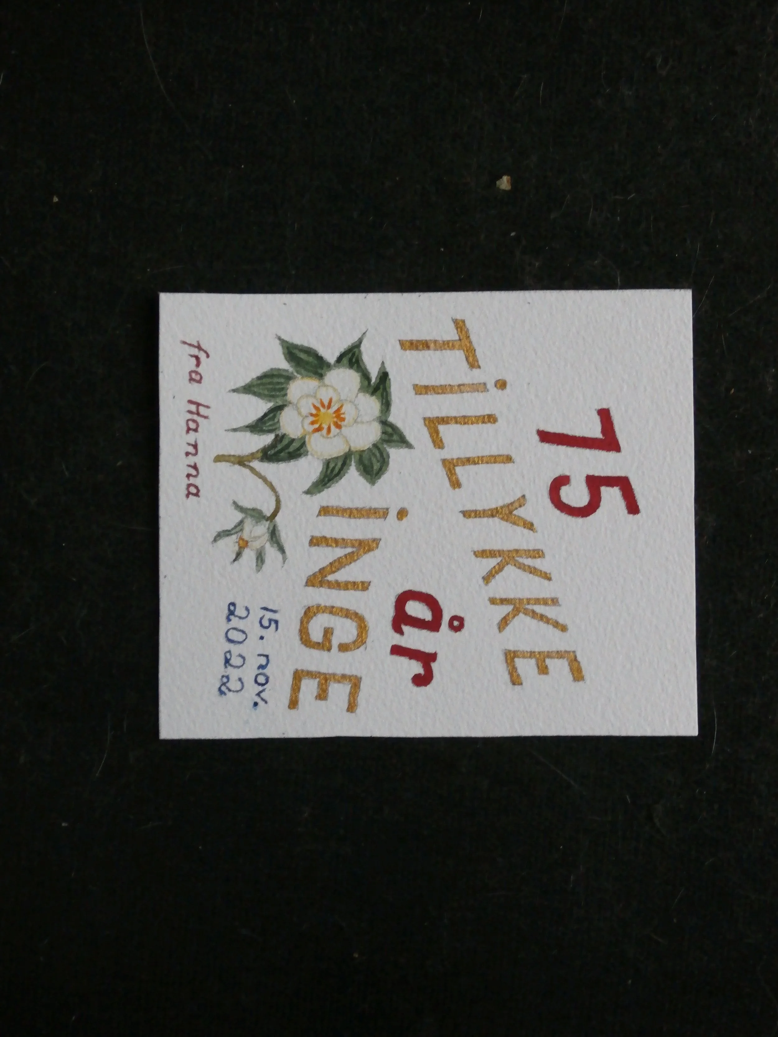 Lykønskningskort til Inge Wulff Rasmussen fra holdet (landinspektør)