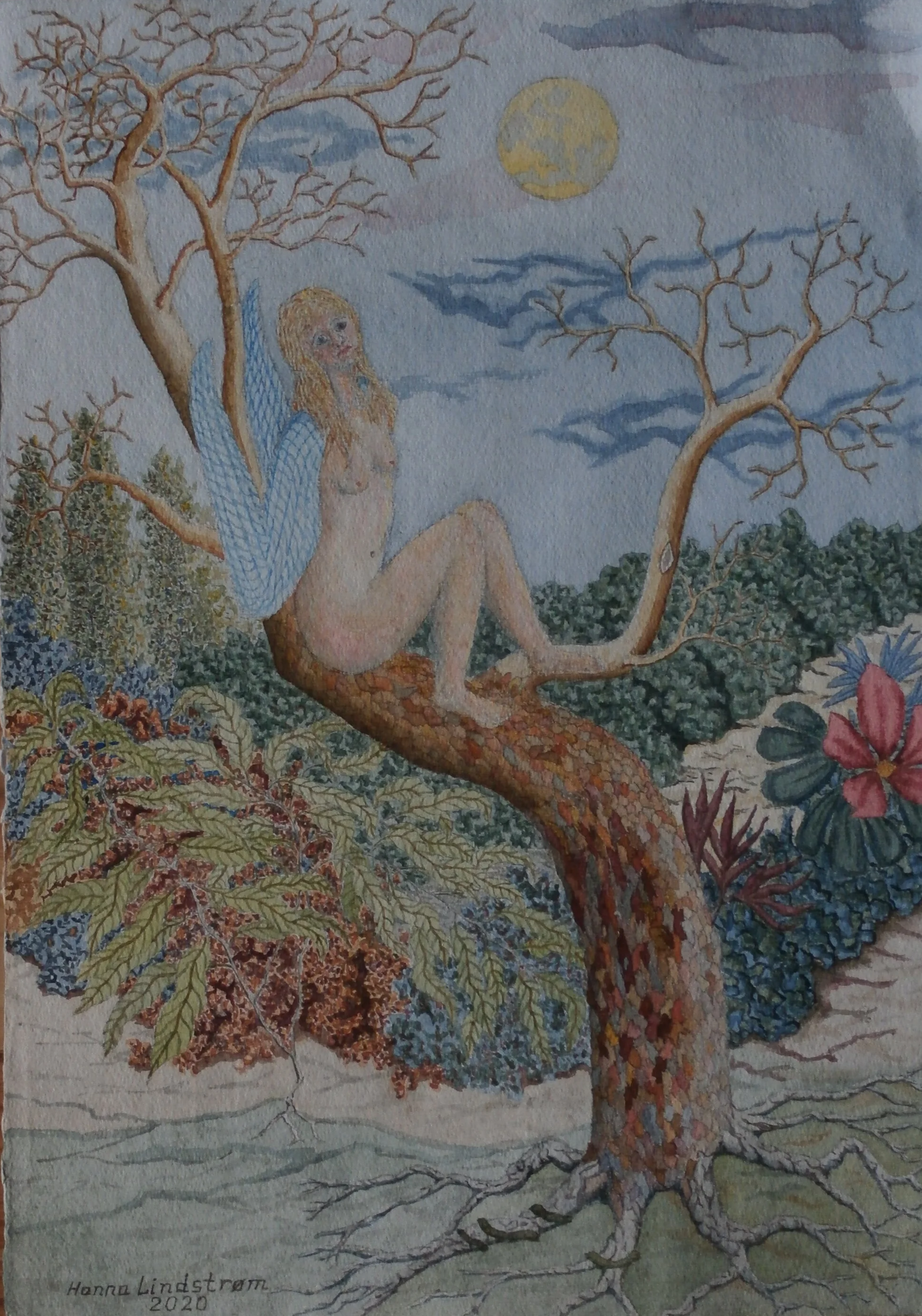 P5021614.png