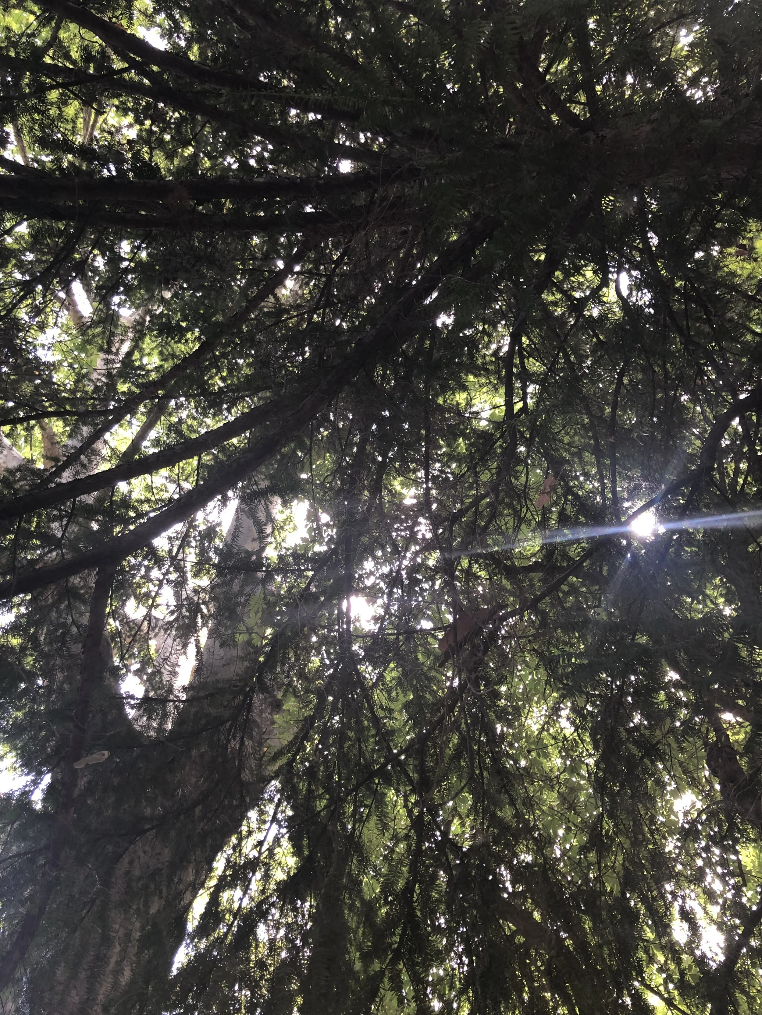 DEEP DIVE - Rev. Jen leading 