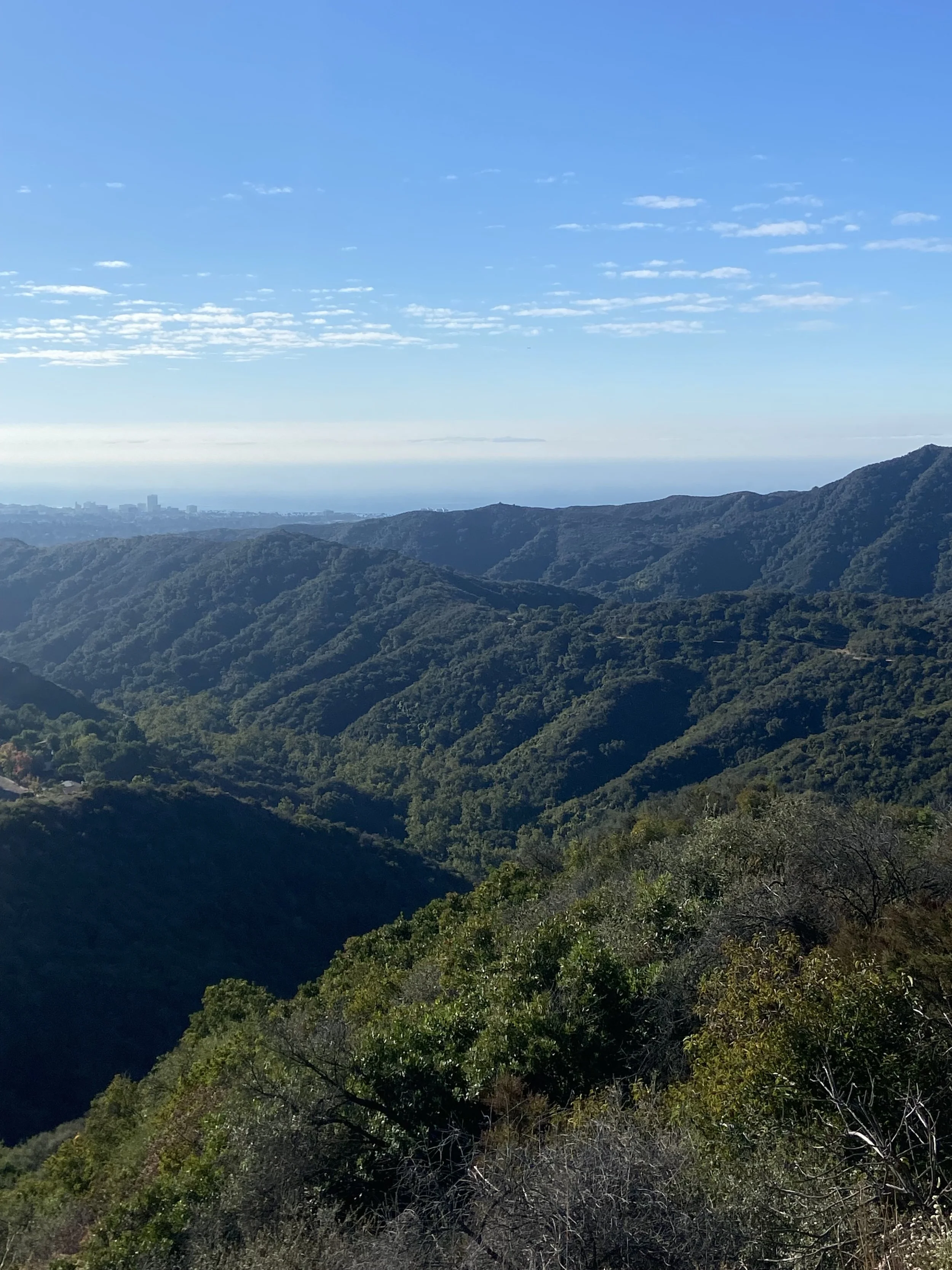 DEEP DIVE - Prayer - Rev. Amelia leading 