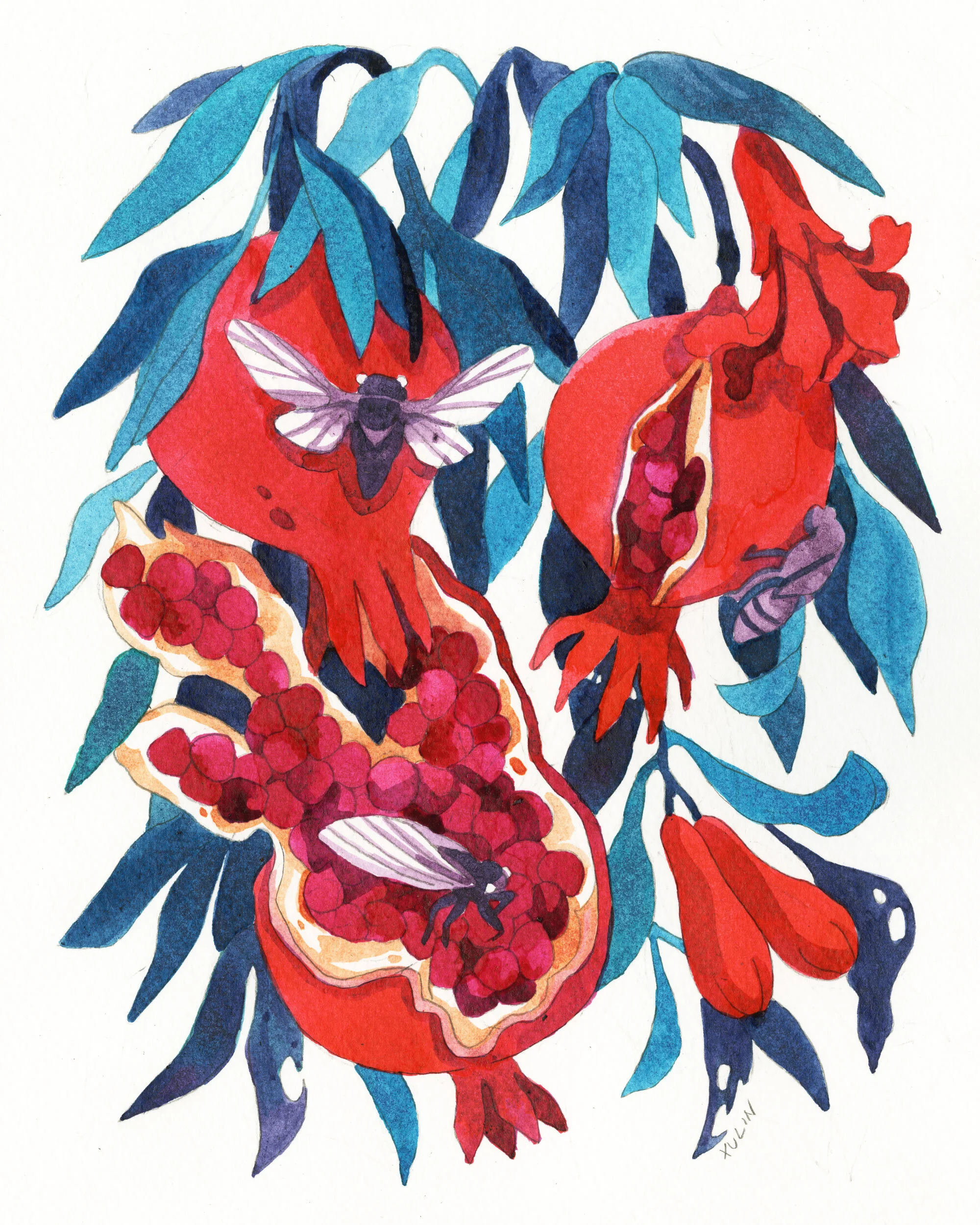 pomegranatesq.jpg