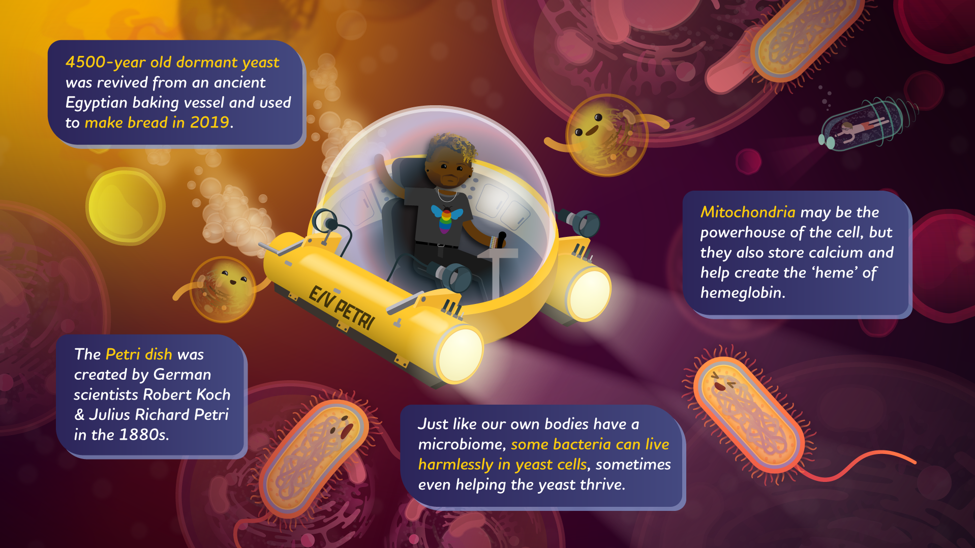 CCBIO_Intro_4.png