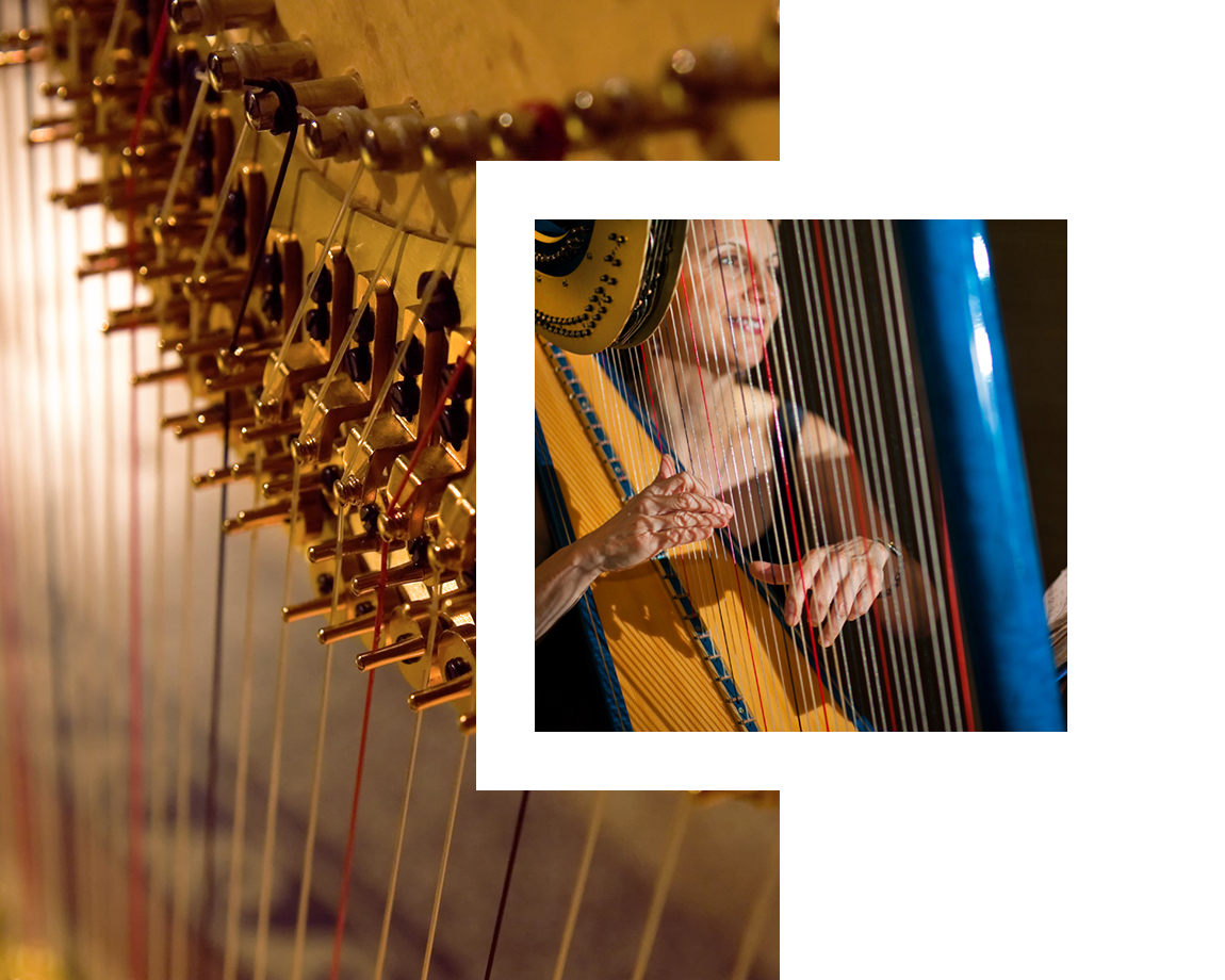 the-gilded-harps-learn-header-c.jpg