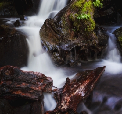 Log Blocking River.jpeg