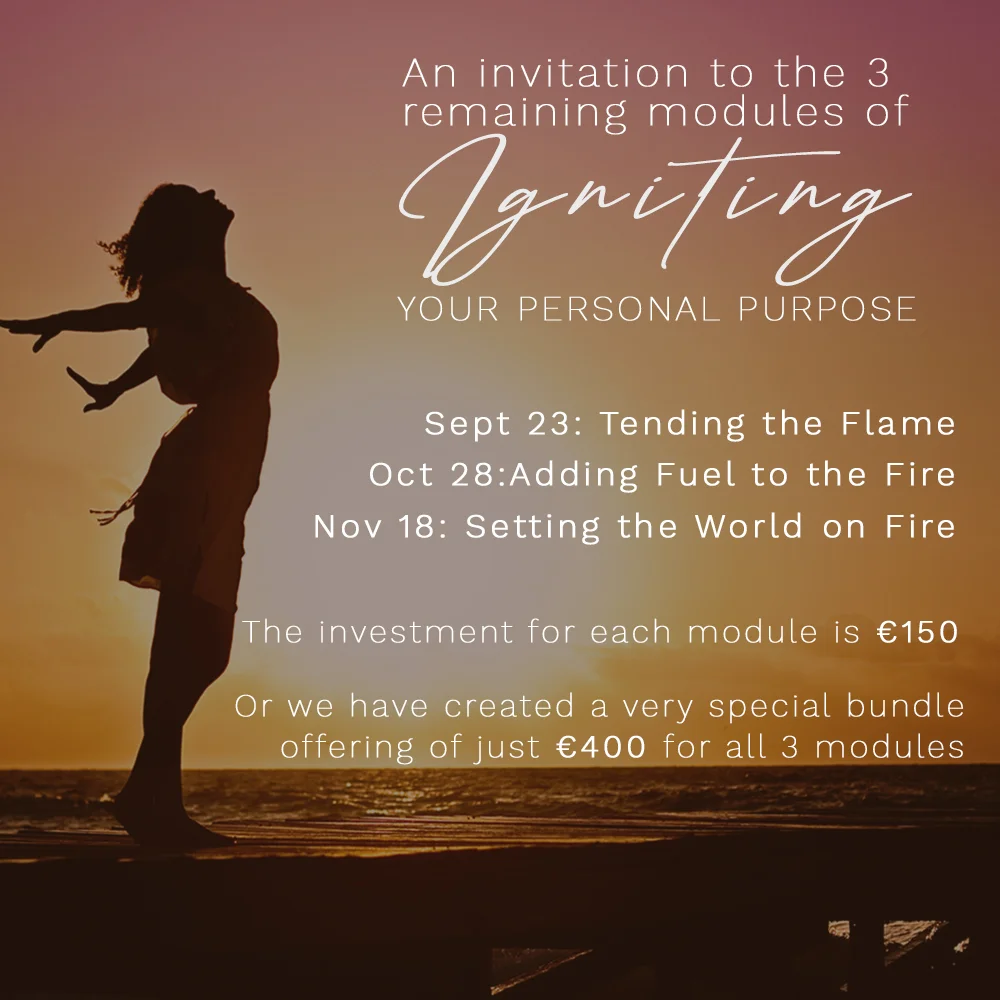ignite-modules-website.jpg