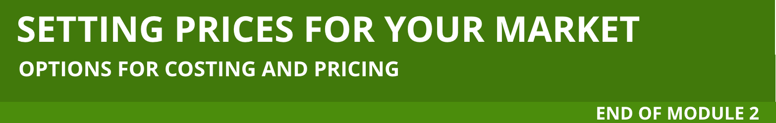 Header for Options for Costing and Pricing