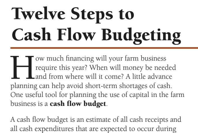This resource from Iowa State University takes you through twelve steps to create a detailed cash flow budget. Click to view this PDF.