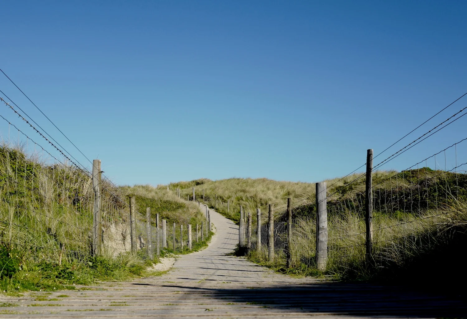 - There's a lot more on its way -