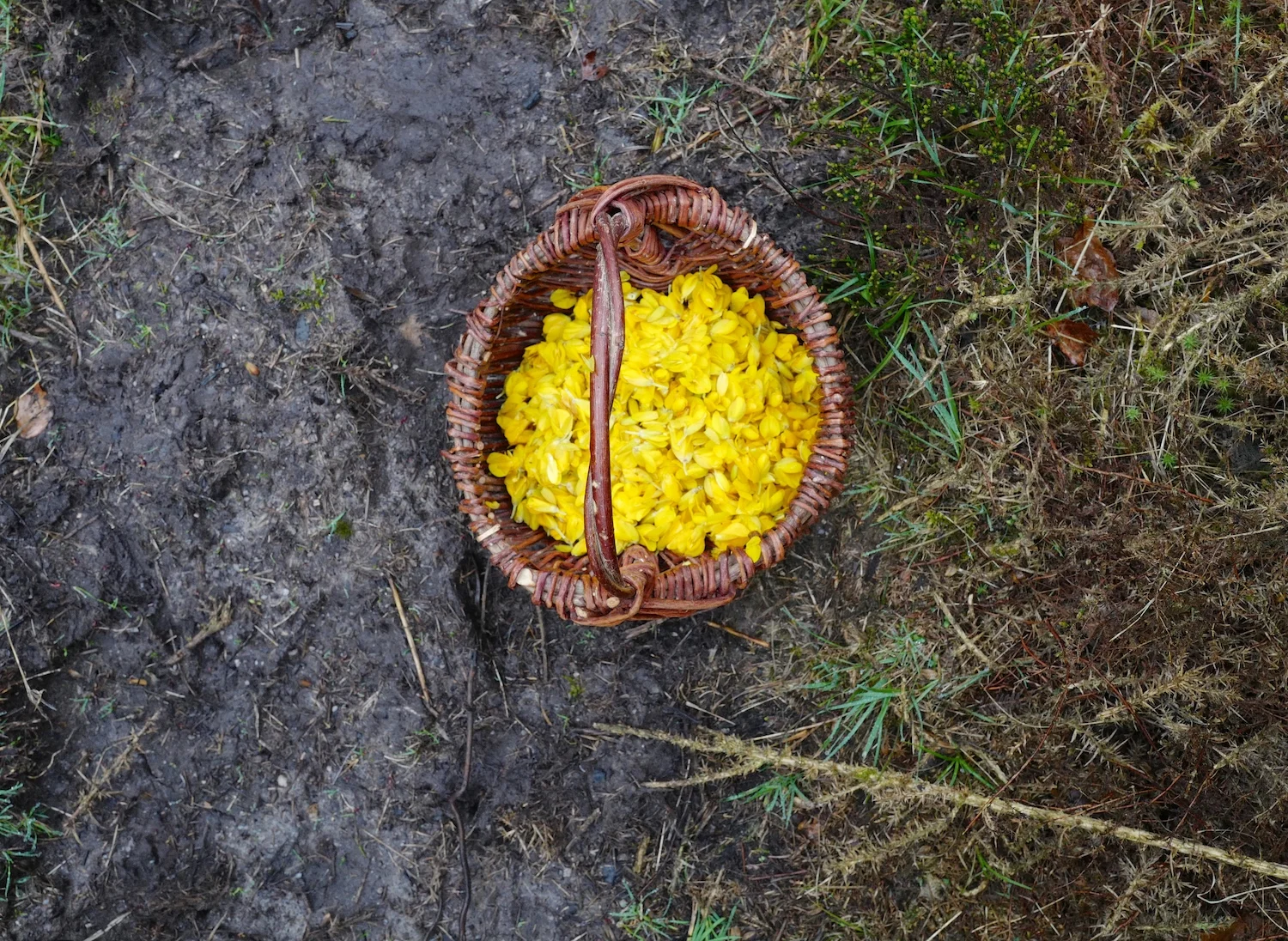 - its very rewarding -