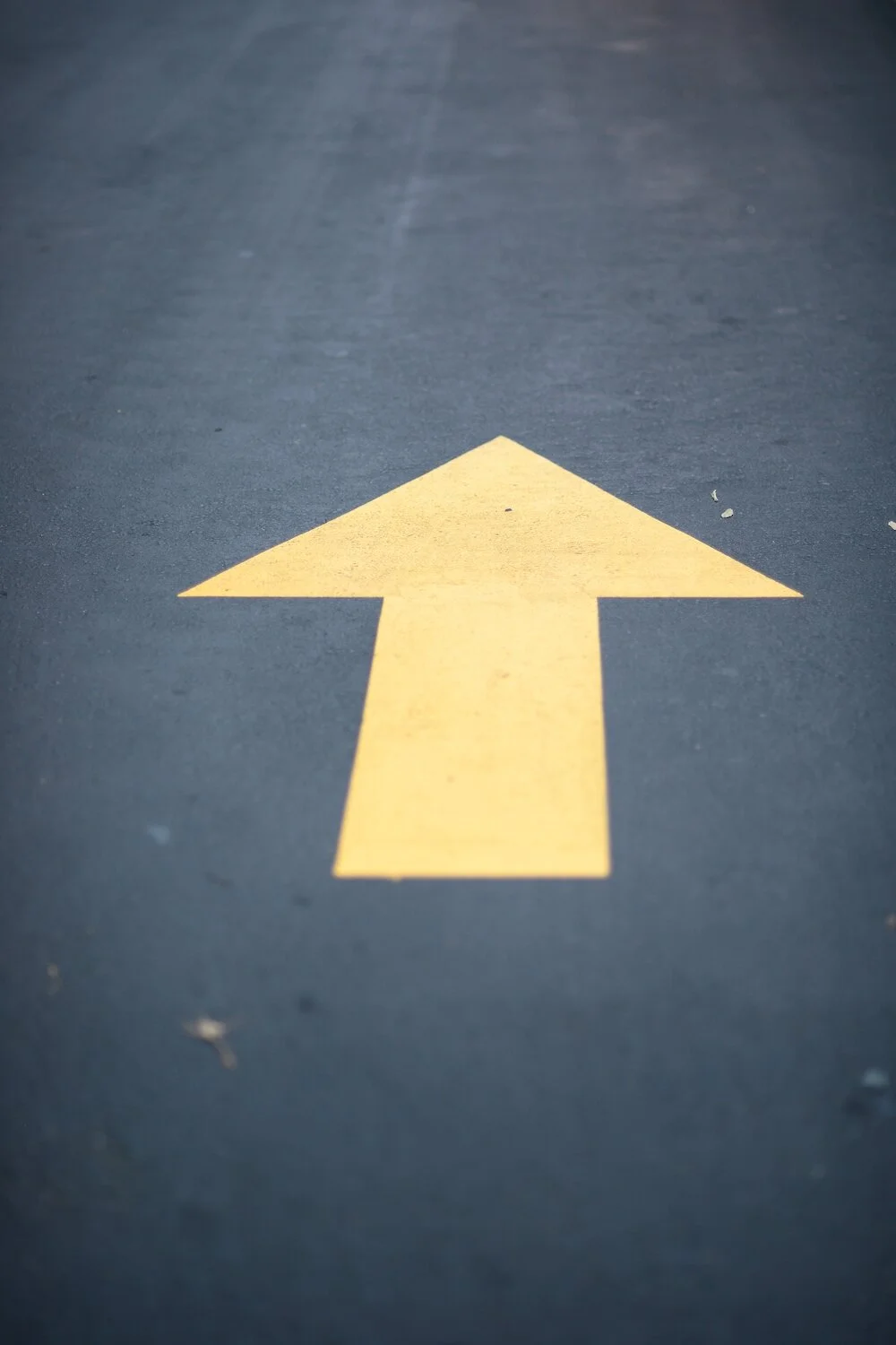 the ones that got away