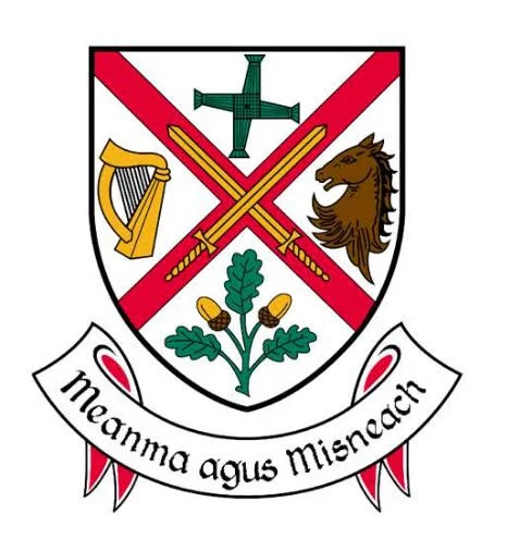 kildare flag.jpg