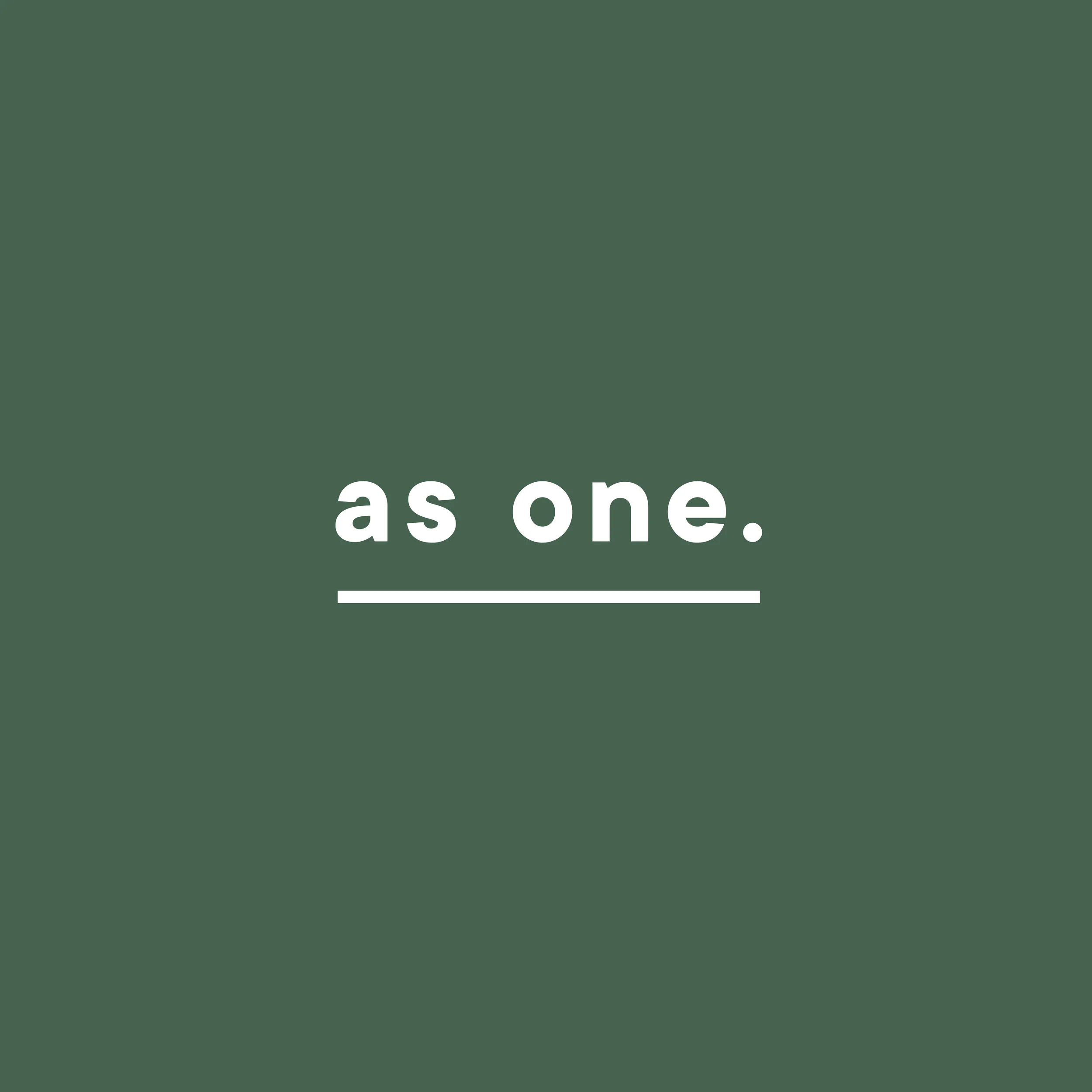 AsOne_for_Insta5.jpg