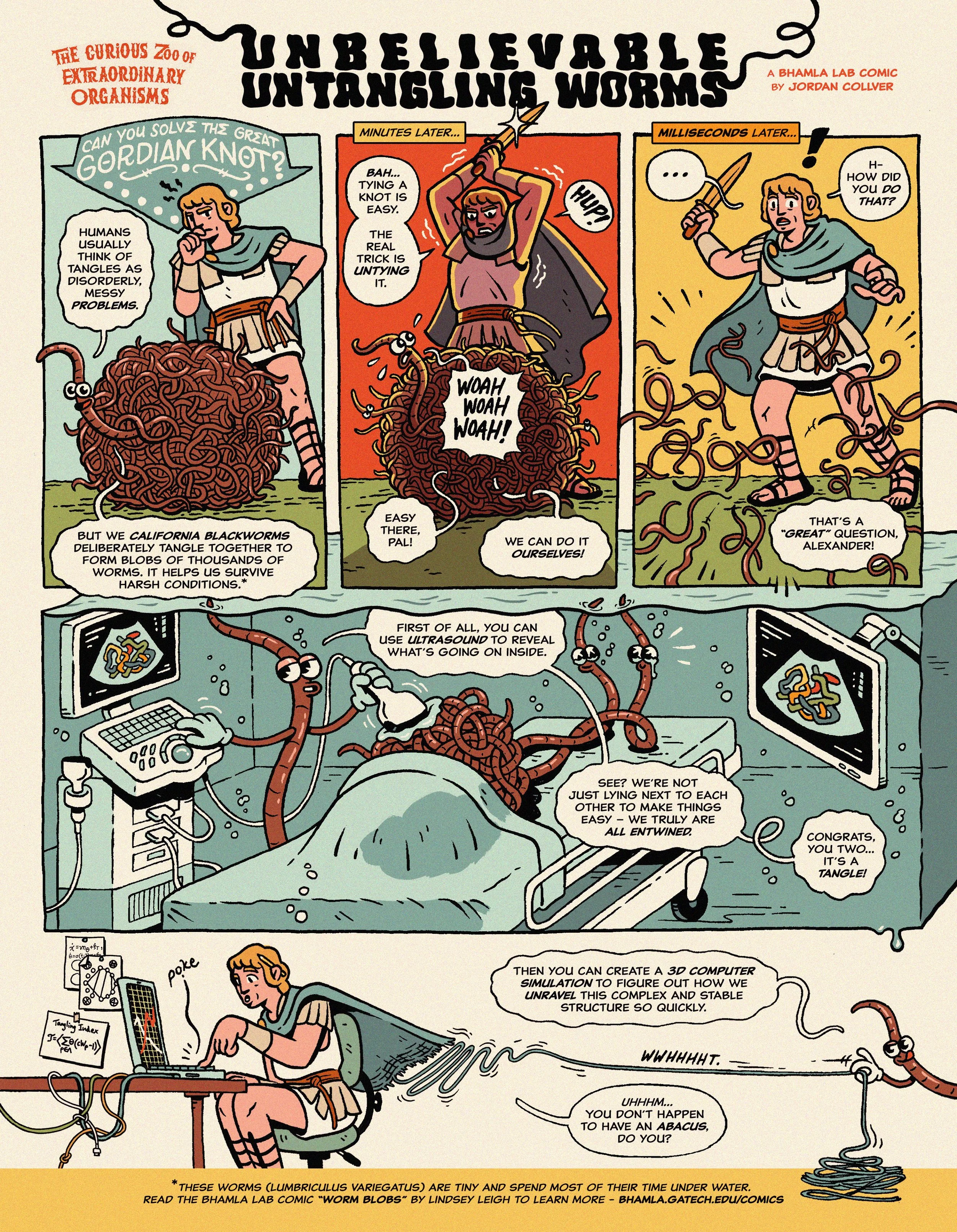 Bhamla Lab — Jordan Collver Illustration