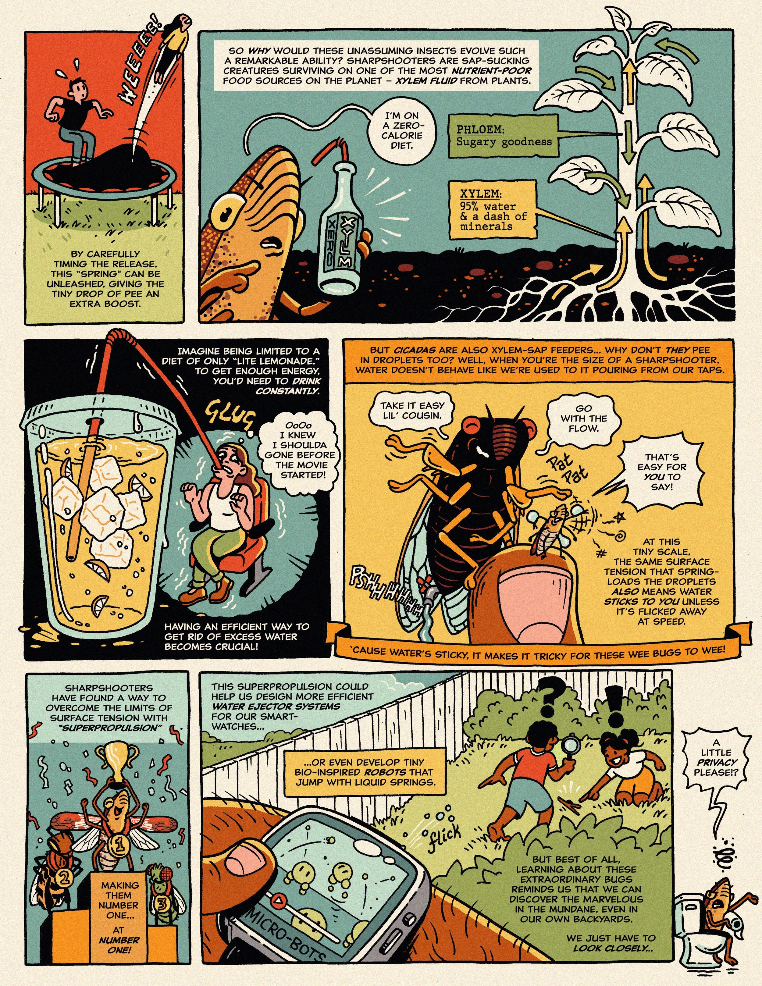 Sharpshooter Comic 2 (Web).jpg