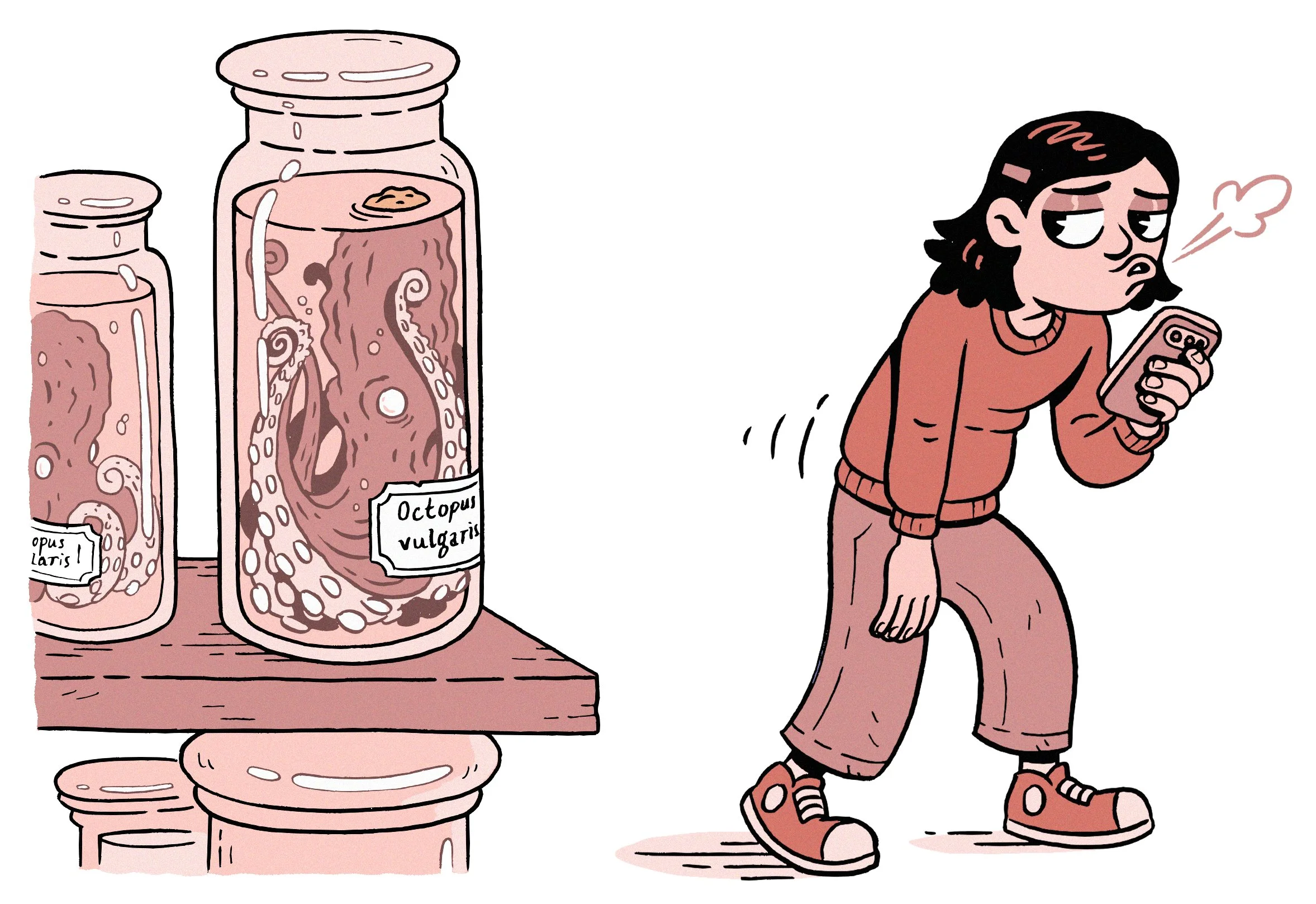4. Dead Octopus.jpg